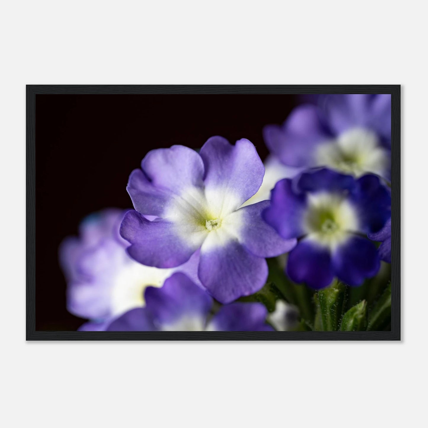 0ecdde03-c019-446a-92b4-1226daf8e08c