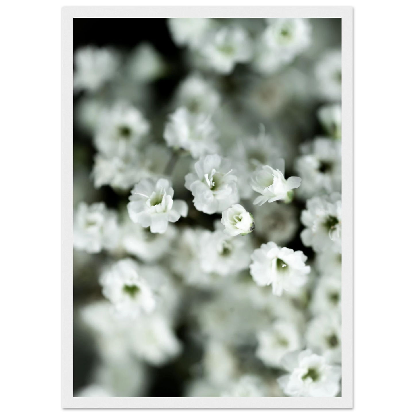 11bdcca6-fb64-480c-b602-f99ac20657c7