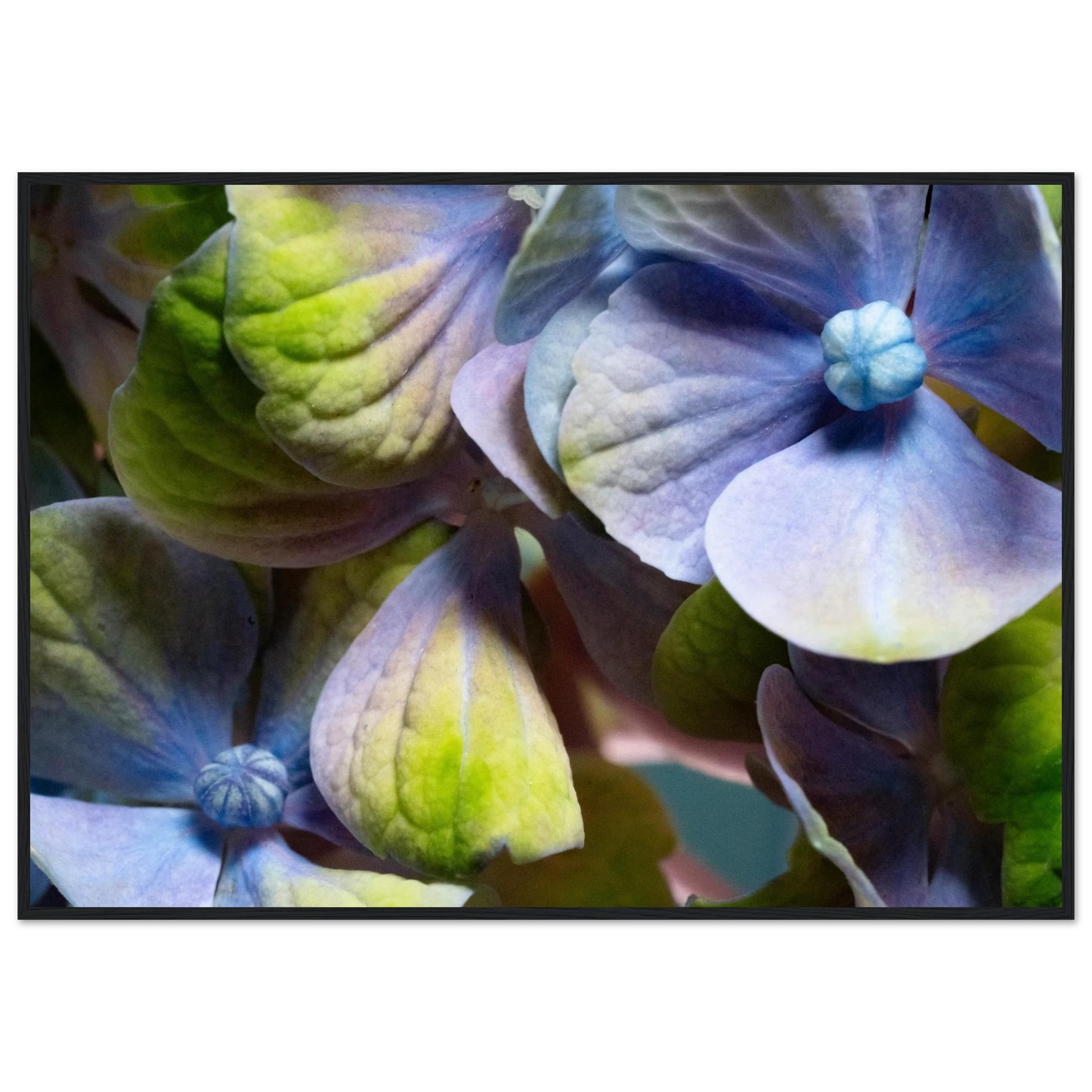 1d5b7973-30ba-4824-bb2c-8ac54a97d980