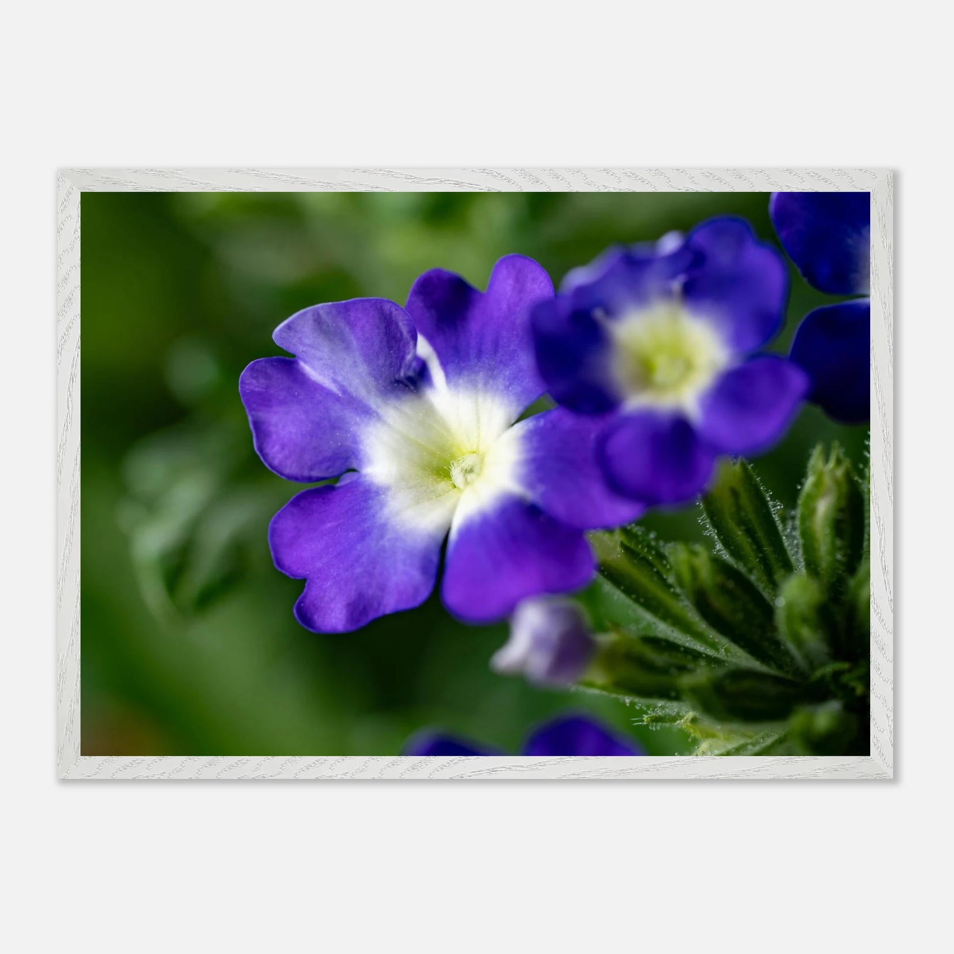 37025d3e-f1e9-4fa4-97a7-9b78e8ebd847