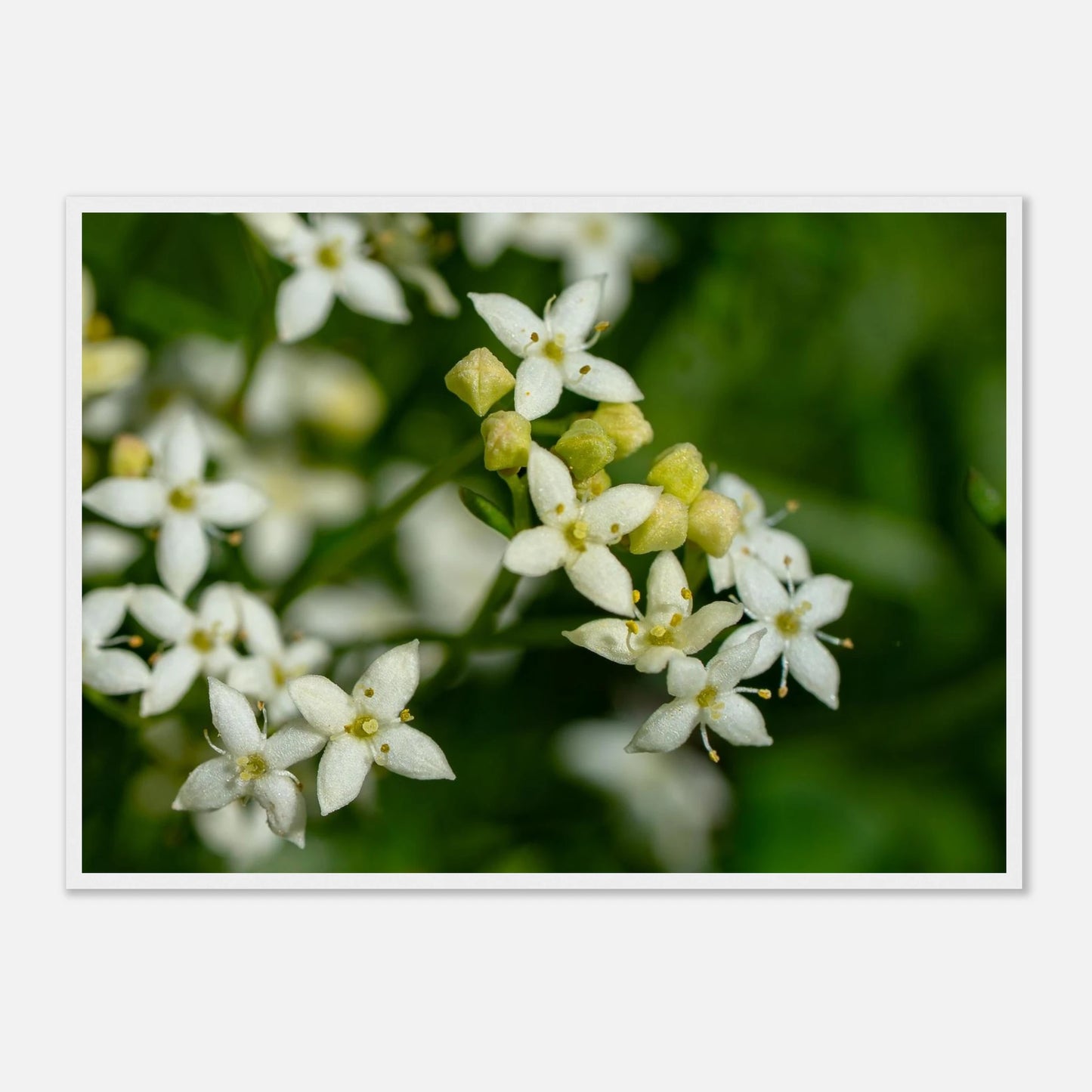 439bf389-18f1-48b1-8ce1-8fd1ee6a076d