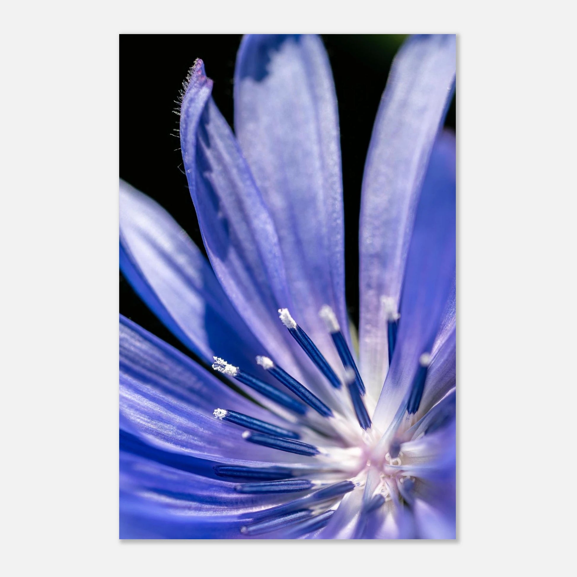 4c0d6012-06e0-48fe-b6bb-70268b1324ef