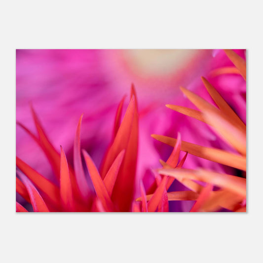 4df93613-a7e4-46a0-9e08-b1fa4328cbd9
