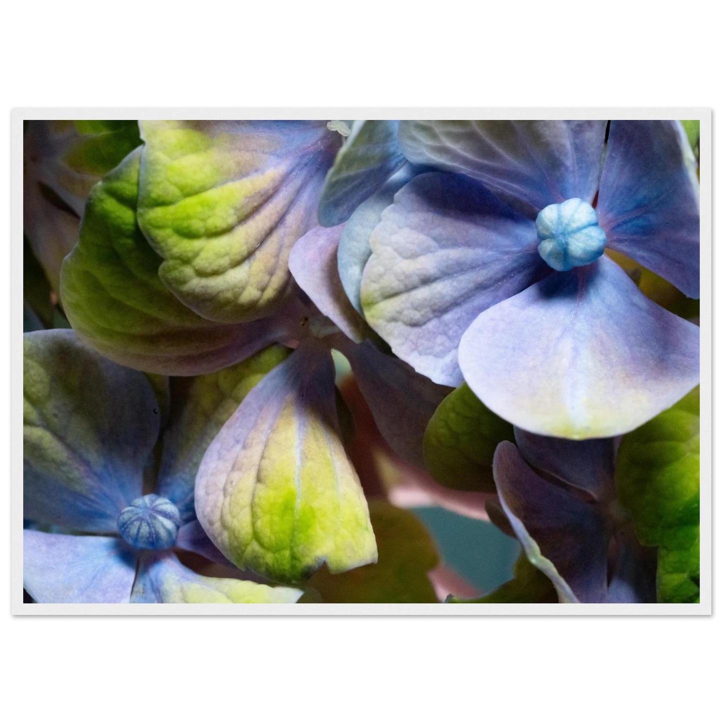 594a04ce-2d70-4131-9169-1e25ecfedf1e
