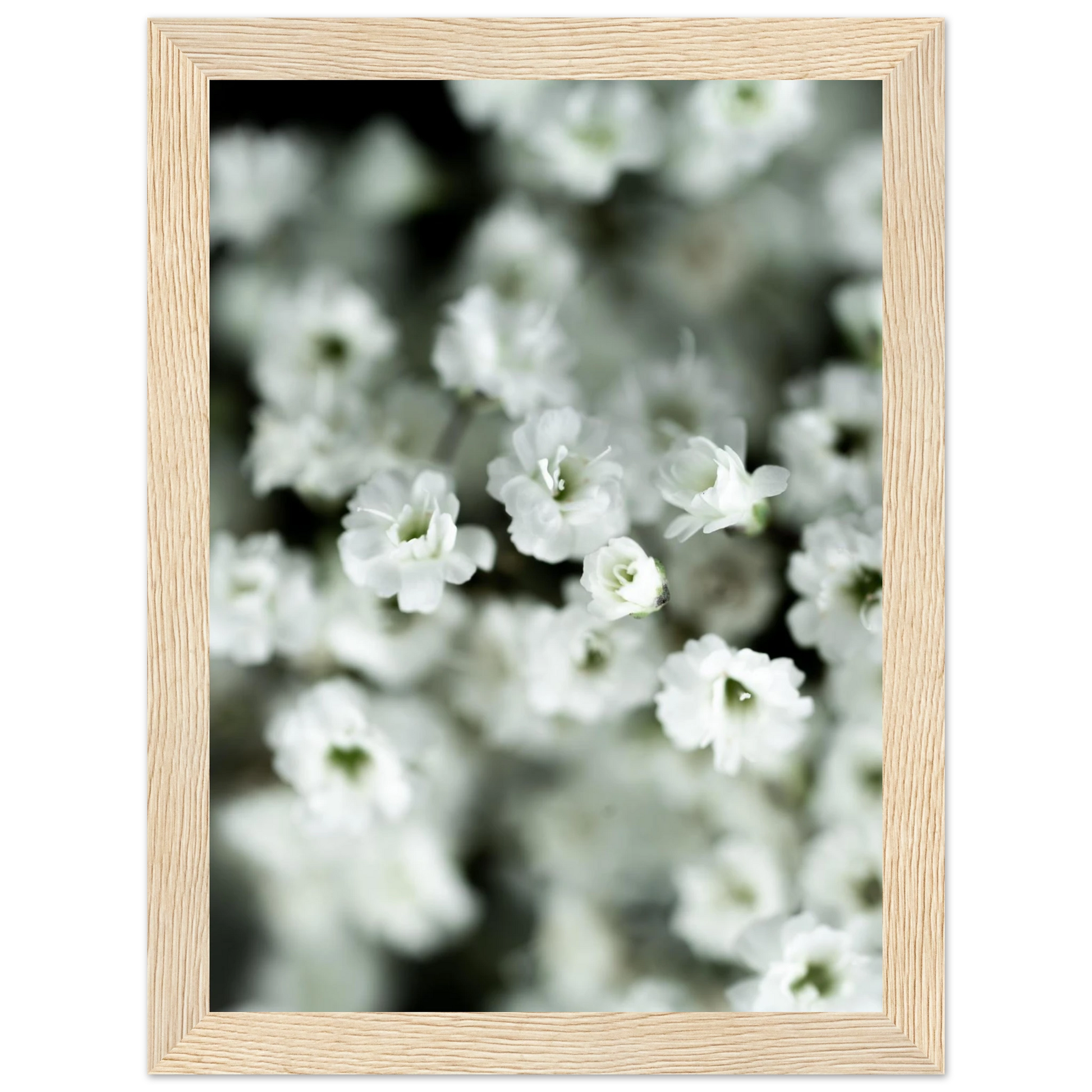 5ce603bb-d0a3-4d75-affe-66218f304ad9