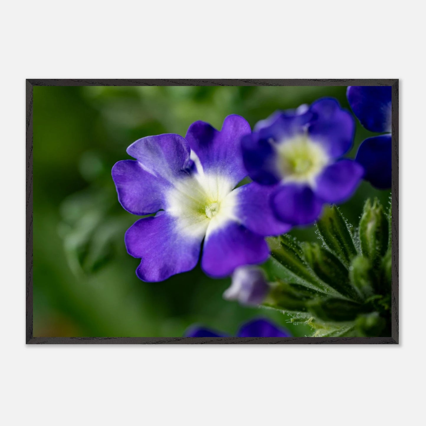 7c222235-c5b8-4b0f-9675-de07db575a3f