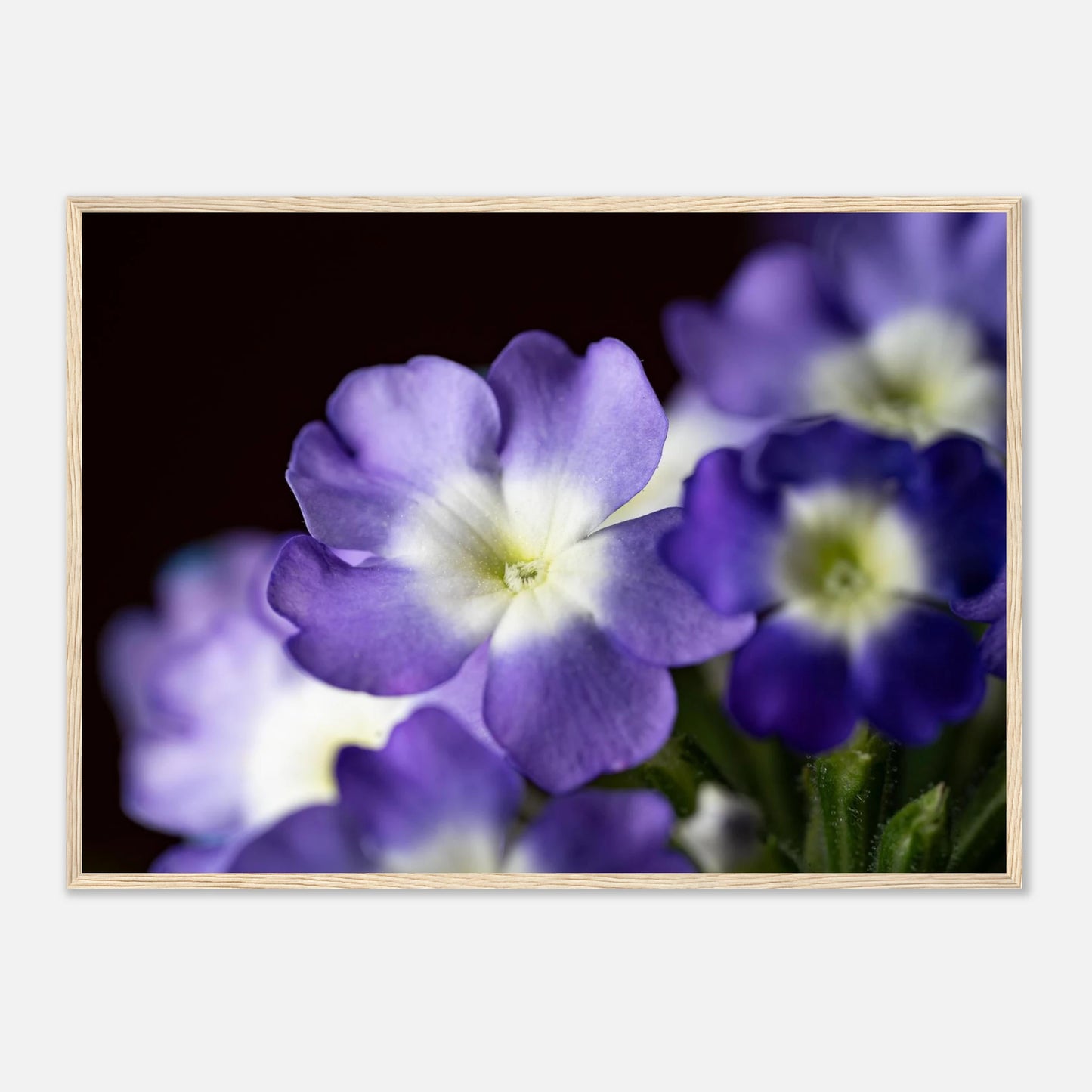 7d6061b9-10b9-4798-929b-0f1248fb1ac6