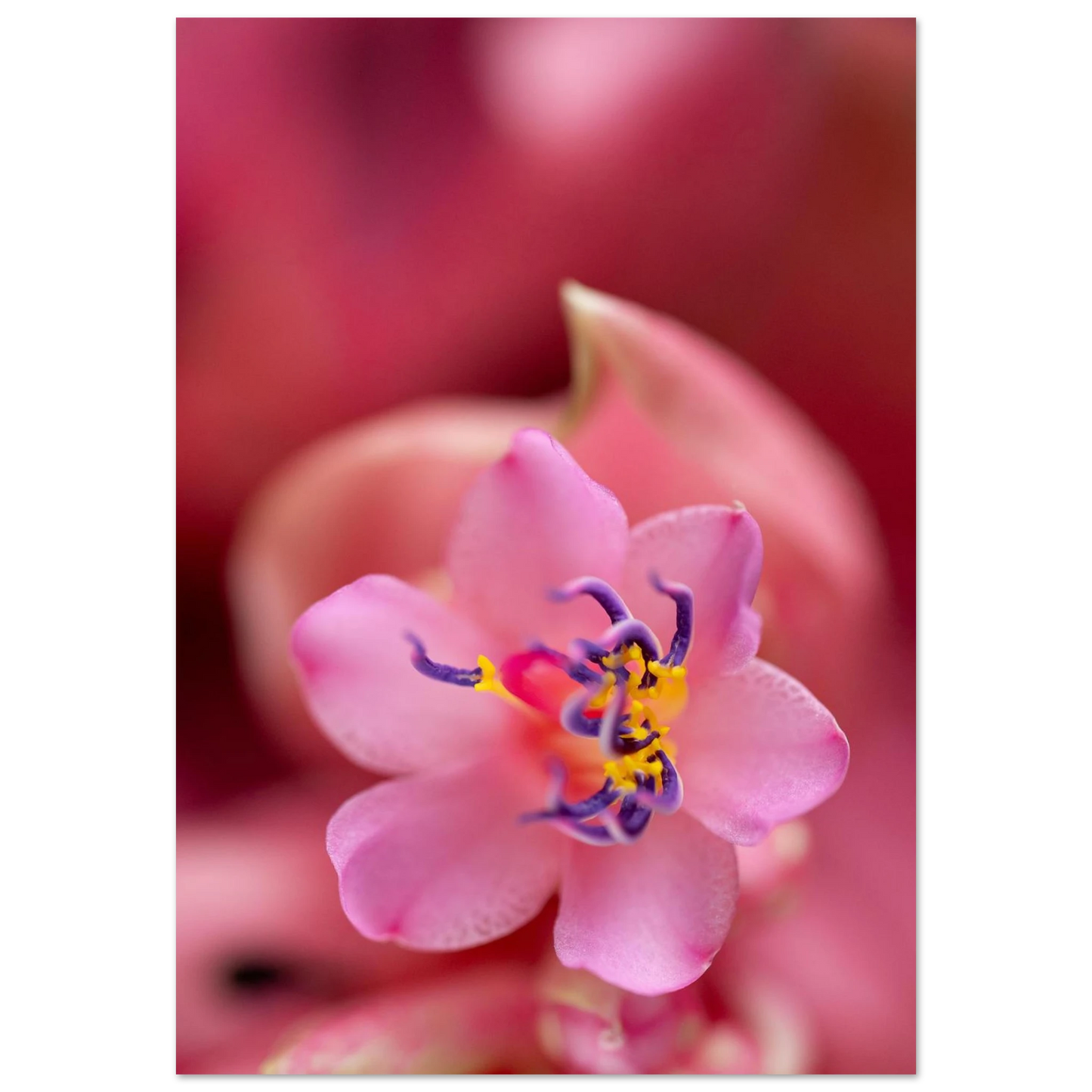 906007a1-75dd-4f1e-bbc5-f4cd03deb14d