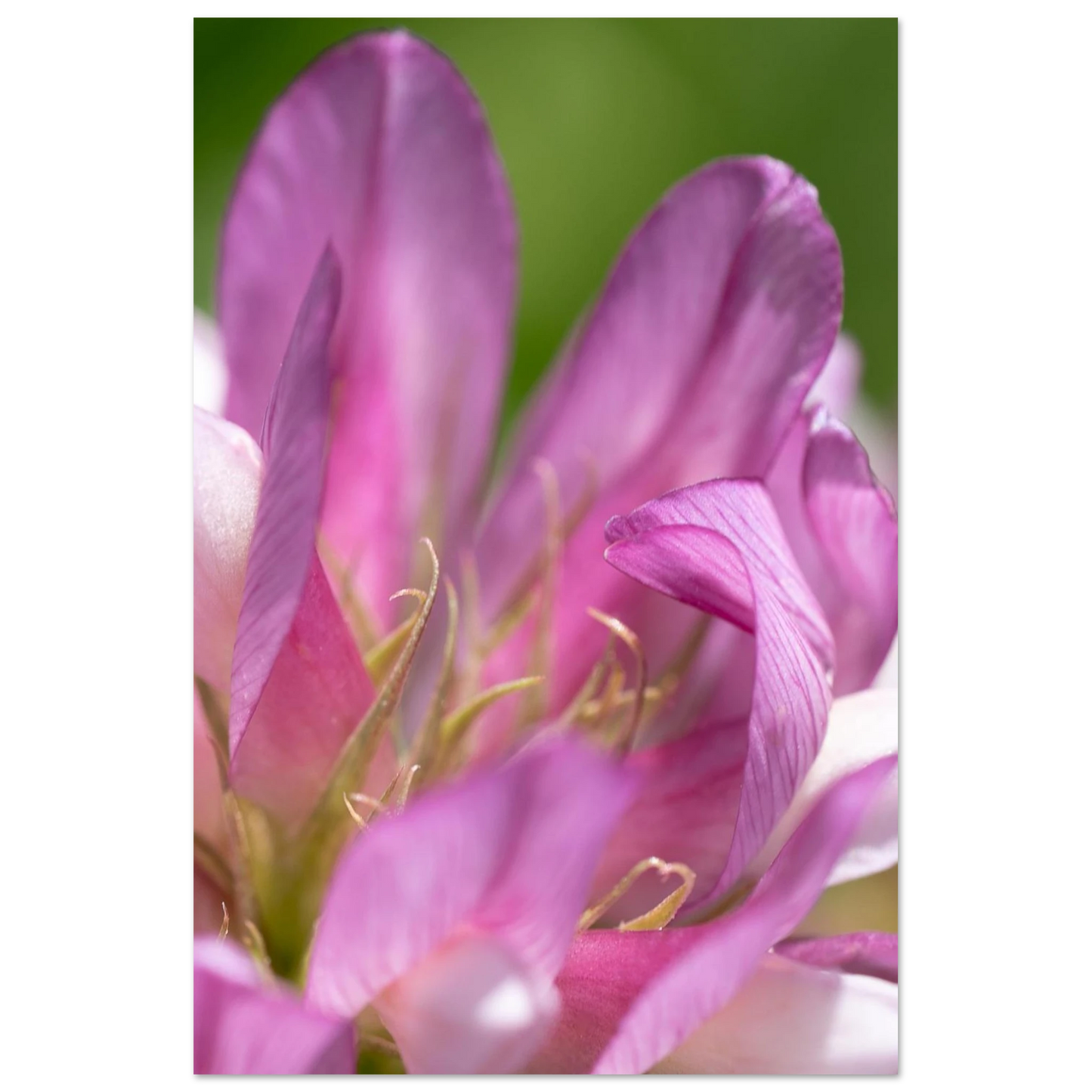 97c4a215-2c87-42df-b411-6931f5213fd4