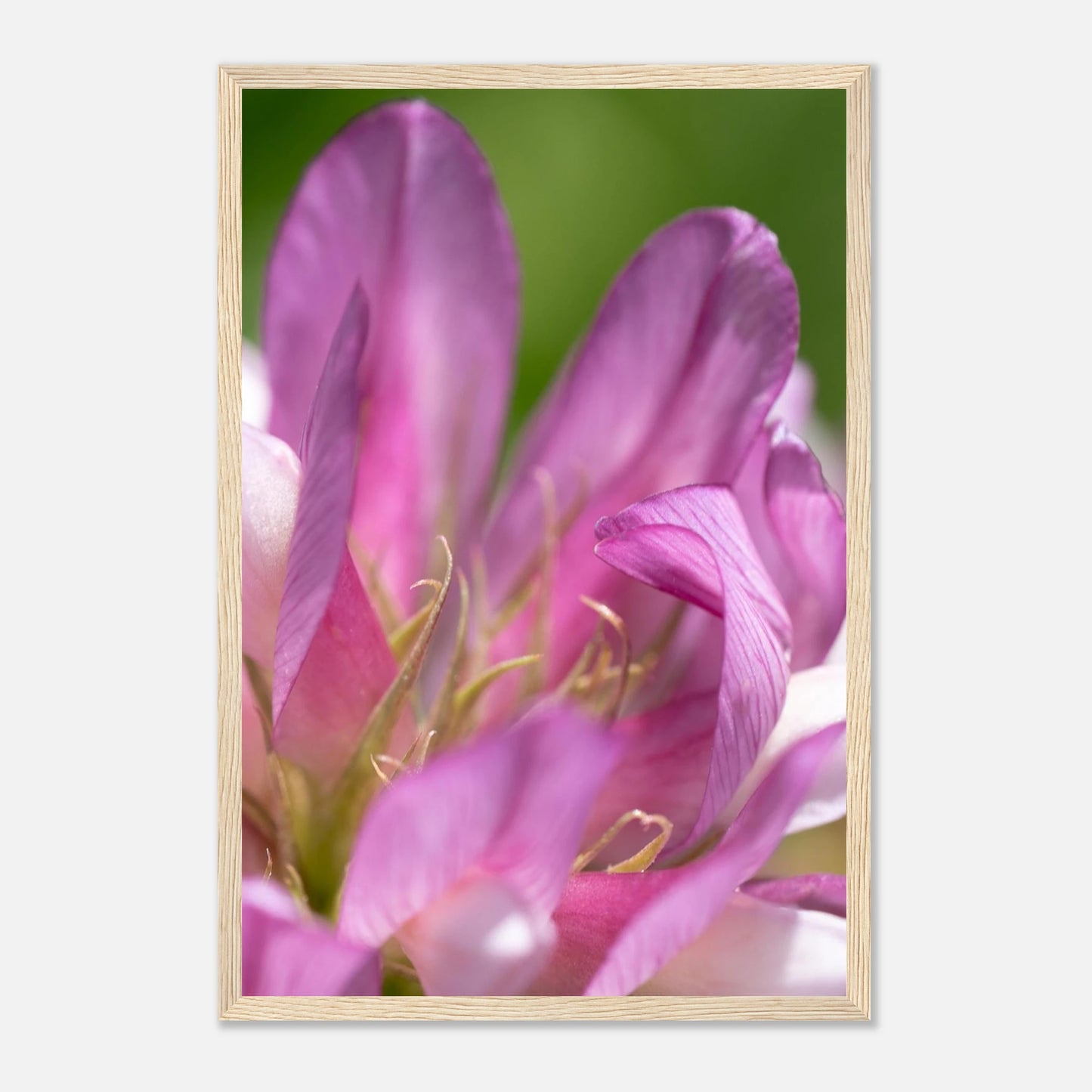 984fd223-f5b8-42dd-b111-38b25612a68b