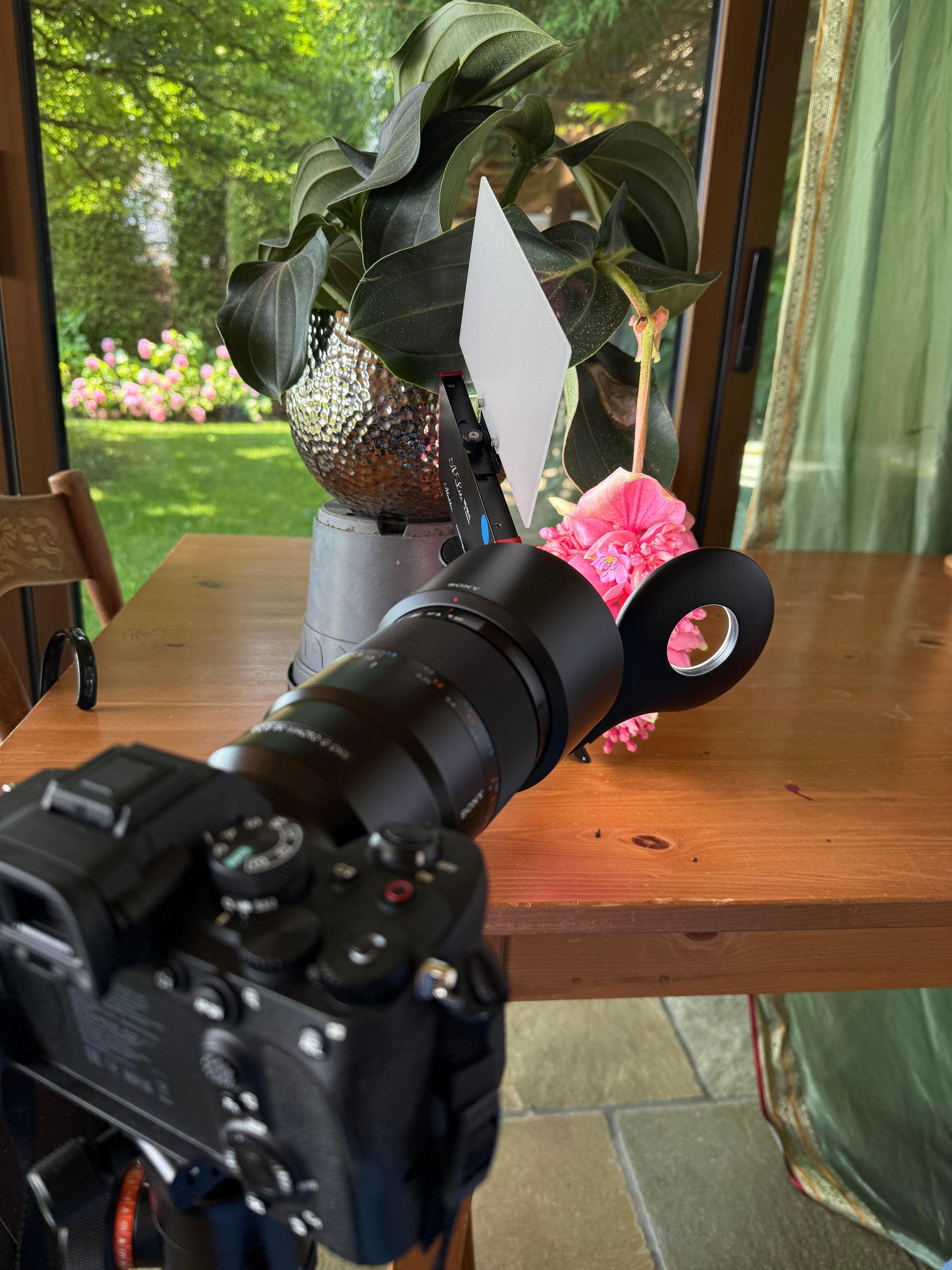 Exotische Medinilla: vertikales Makro-Kunstfoto in Rosé und Violett
