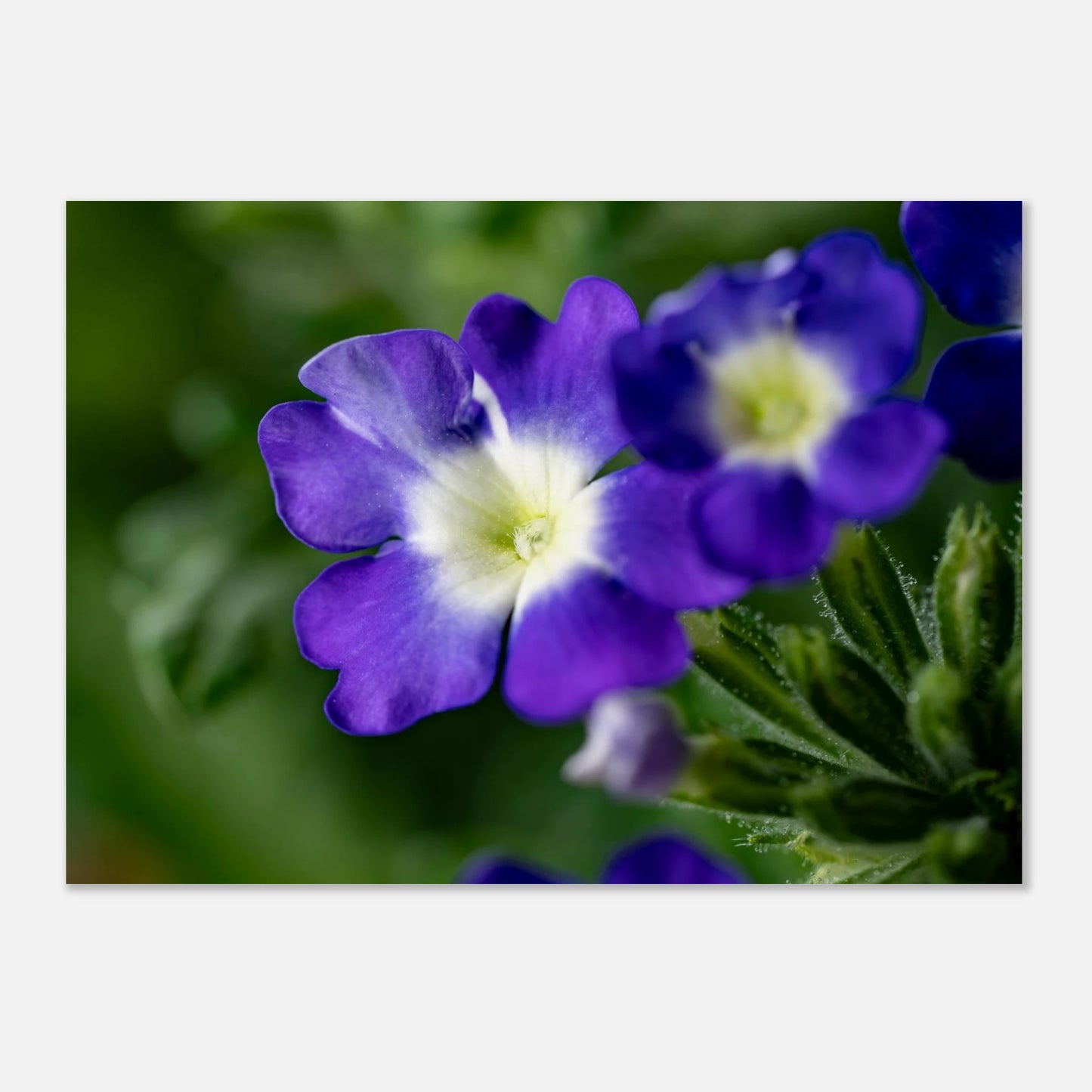 bc892ab2-1d57-4041-897e-3ca05d2fa357