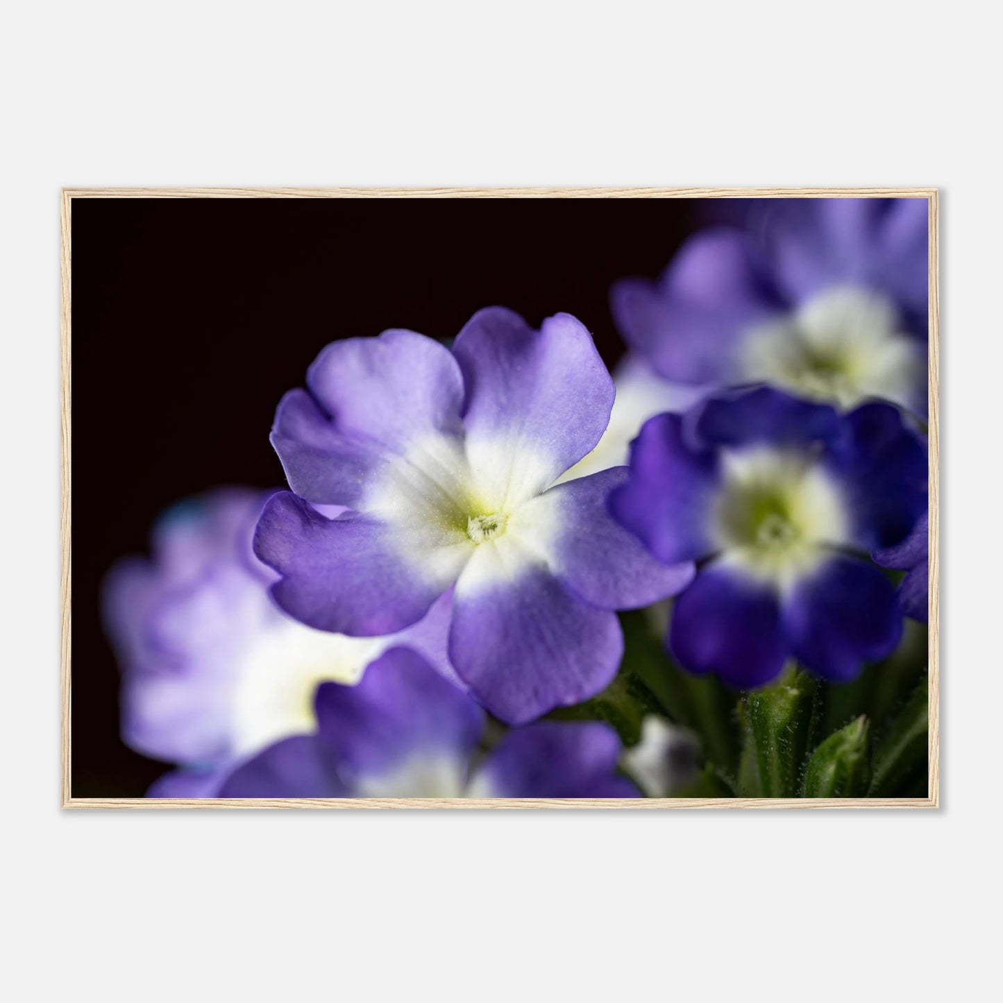 ce925384-d655-468e-998a-6156ae81d3cd