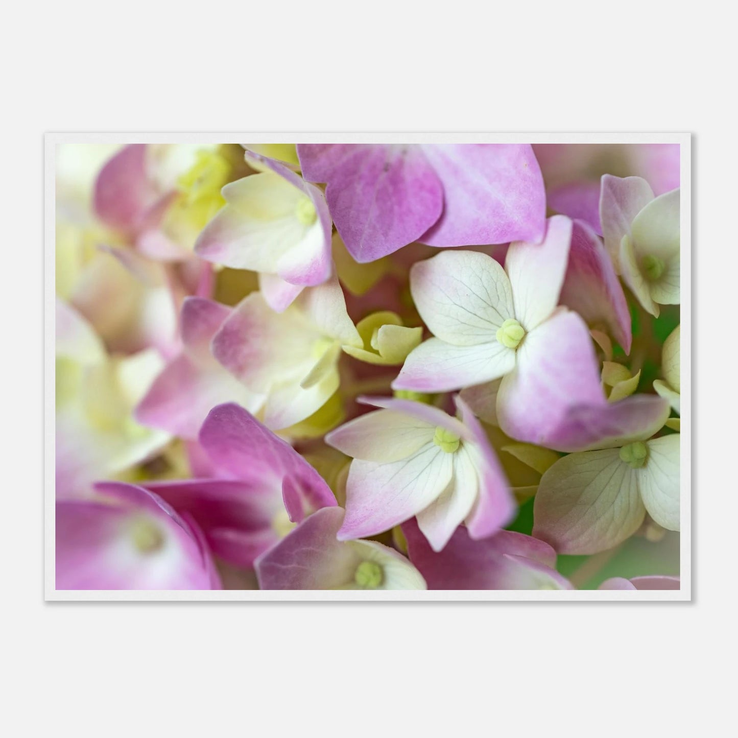 d062129f-3f26-45b2-b4d0-eb9127e72824