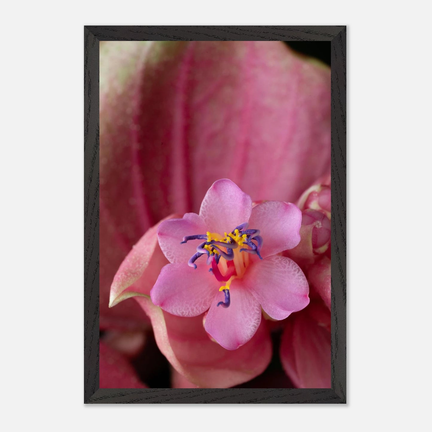 d808ad81-53e0-4fad-9c6e-59e02c15159a