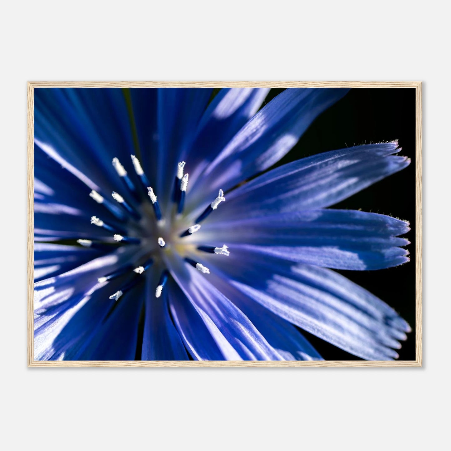 dd629c77-3b08-46cf-9191-eb8711b147cc