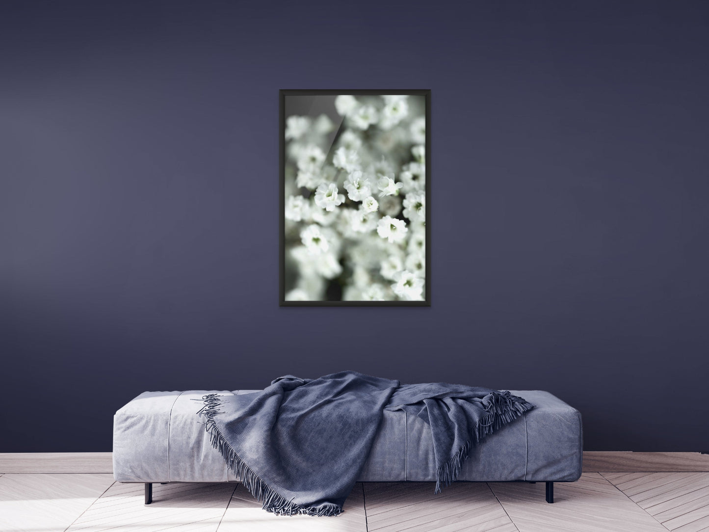 Gypsophylia dekorative zarte Blumen als Fine Art botanische Kunst