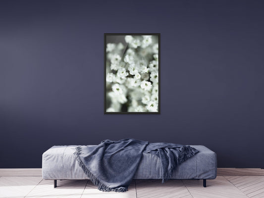 Gypsophylia dekorative zarte Blumen als Fine Art botanische Kunst