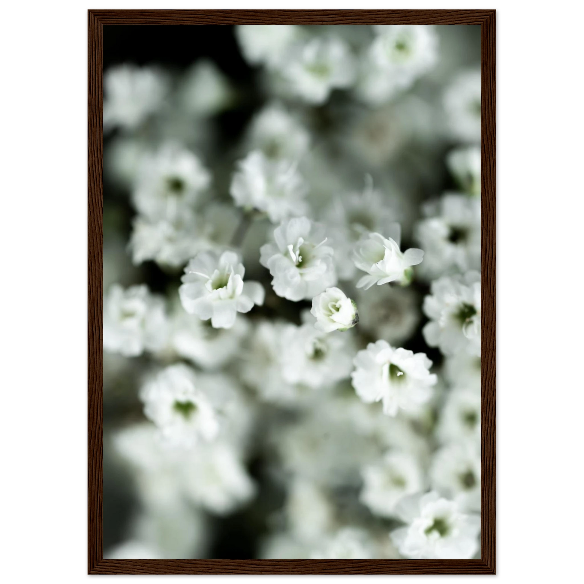 e6ae0793-bdff-4397-9dc5-b7c4a79fcba5
