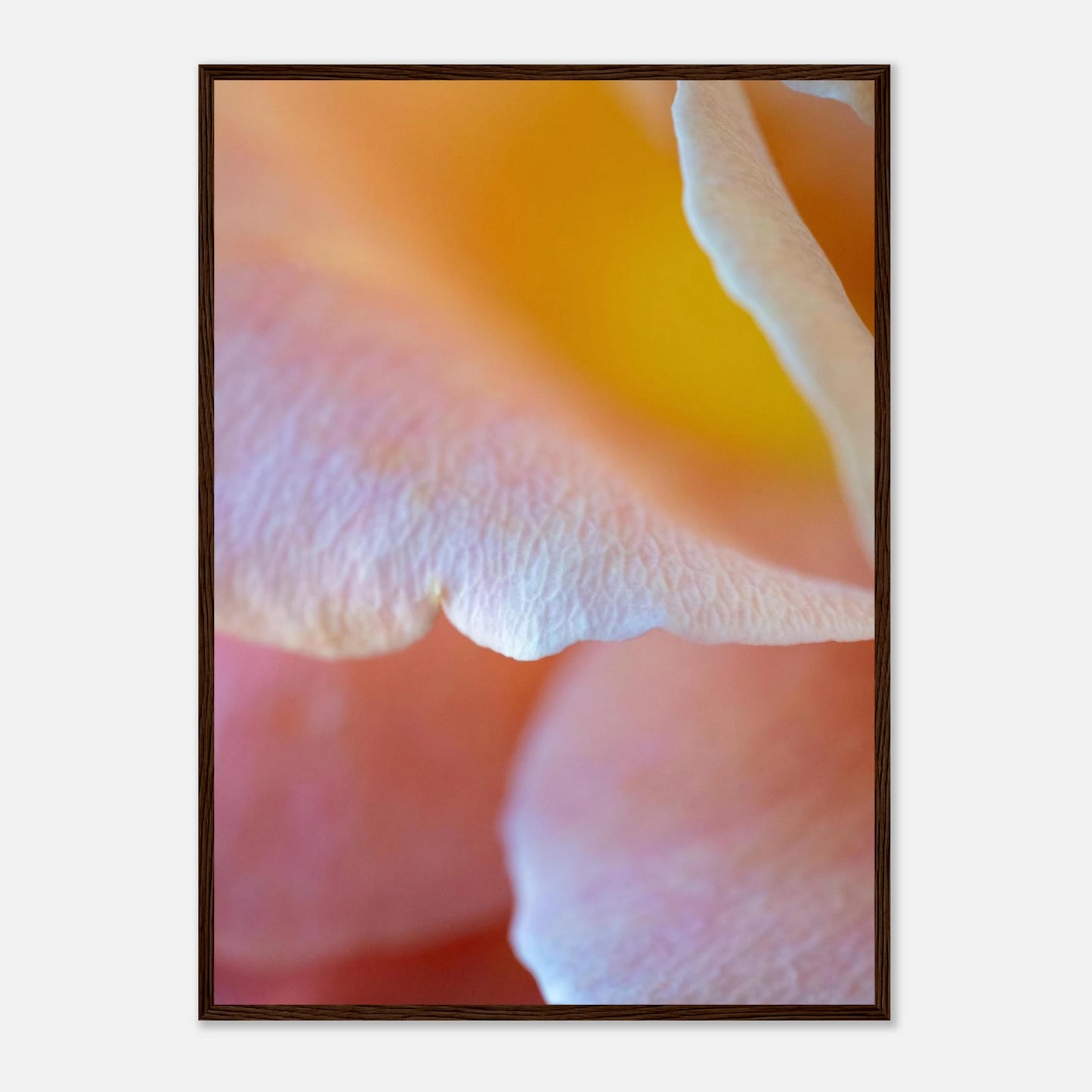 e9c94651-ab80-49f4-ac96-83e762a5a04b