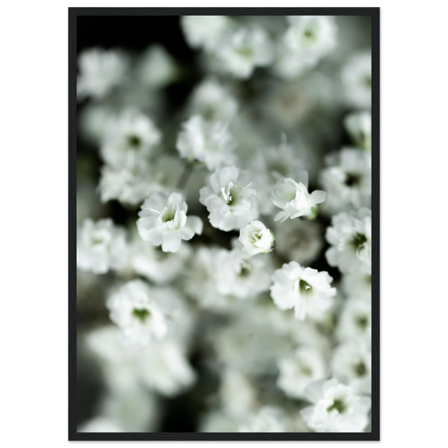 edaabe0e-f50c-478c-9c40-24dfb7c4d3c3
