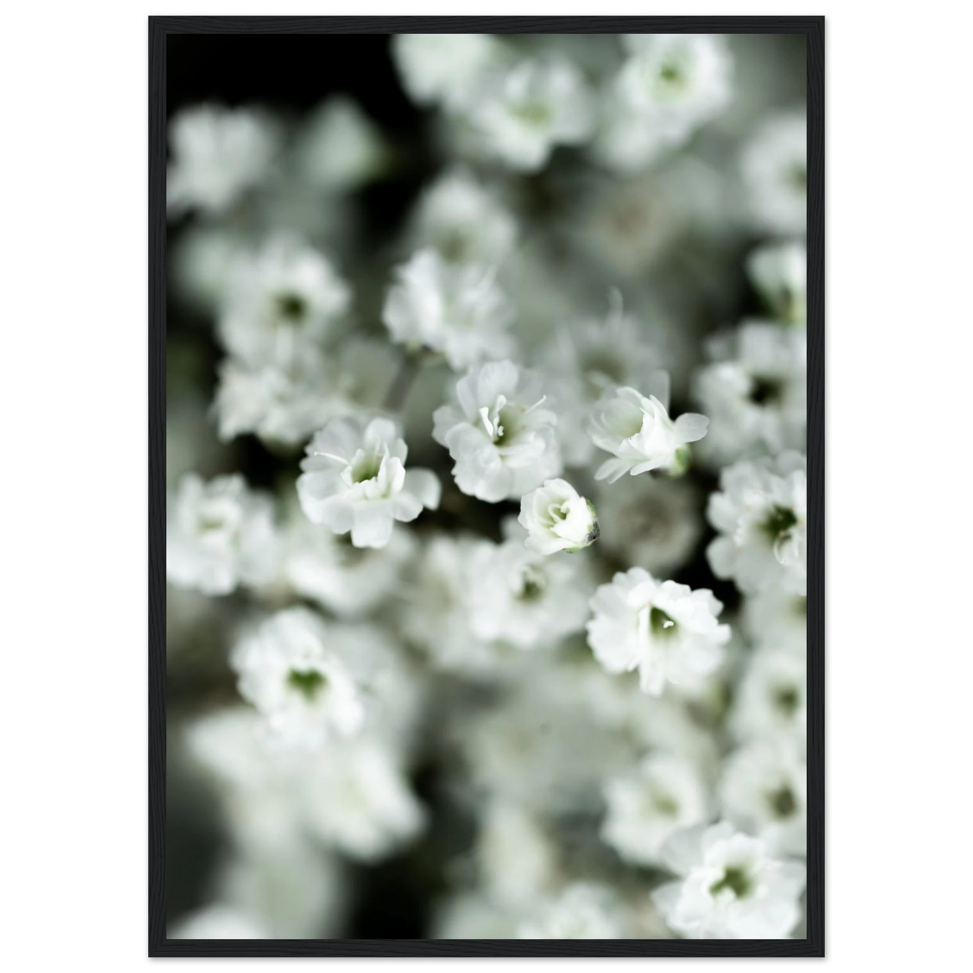edaabe0e-f50c-478c-9c40-24dfb7c4d3c3