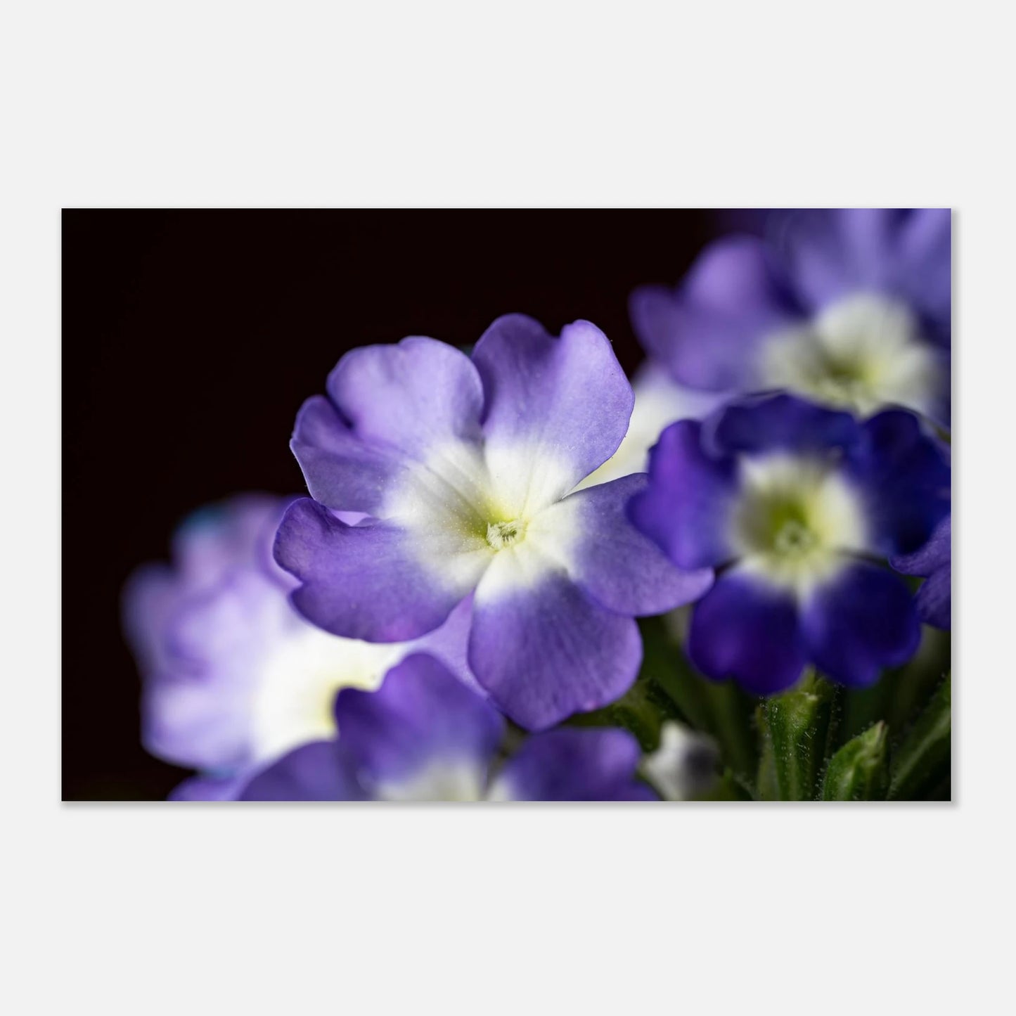 ee0672f7-c2c6-424e-8e8a-3f7754e07c13