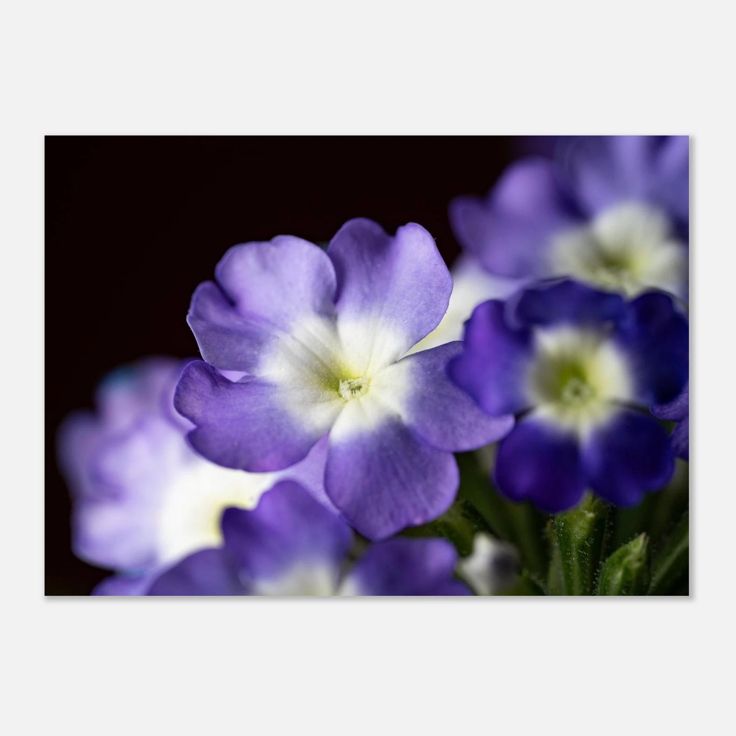f3726739-ed2f-4bcf-837e-285f10b3f6b1
