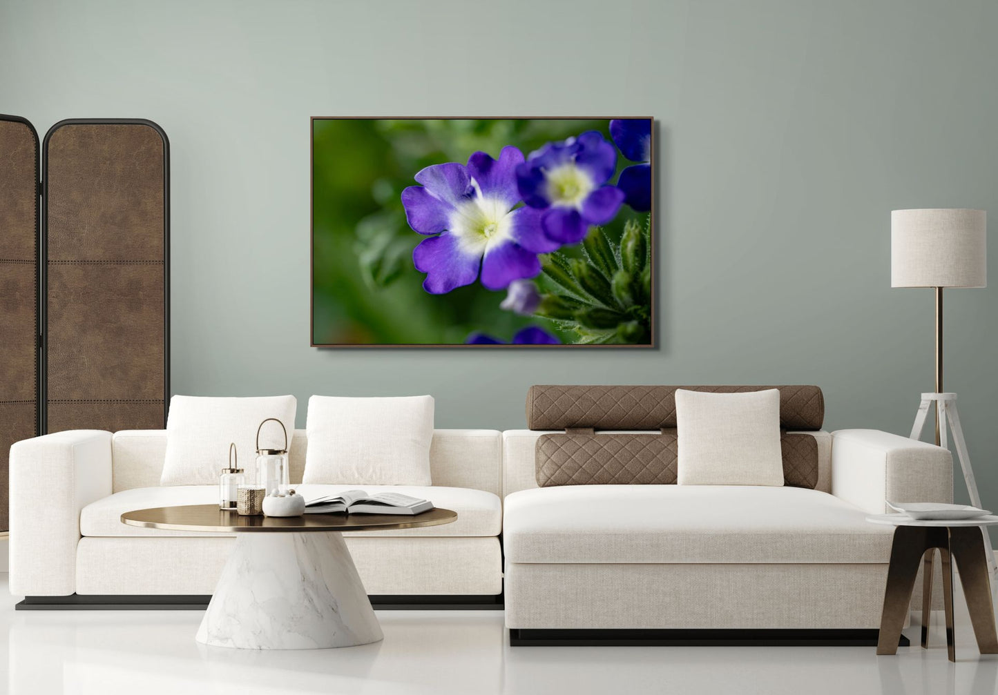 Stille Kraft – Verbena hybrida