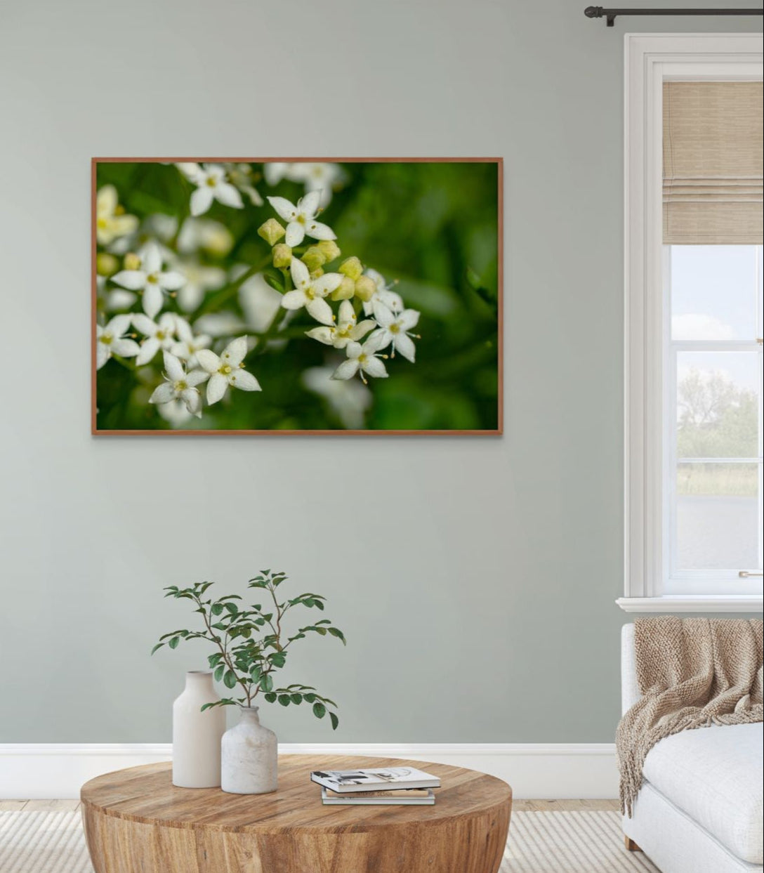 Makroaufnahme von Weißem Labkraut (Galium mollugo) mit zarten weißen Blüten vor grünem Hintergrund – feine Details und ruhige Lichtstimmung