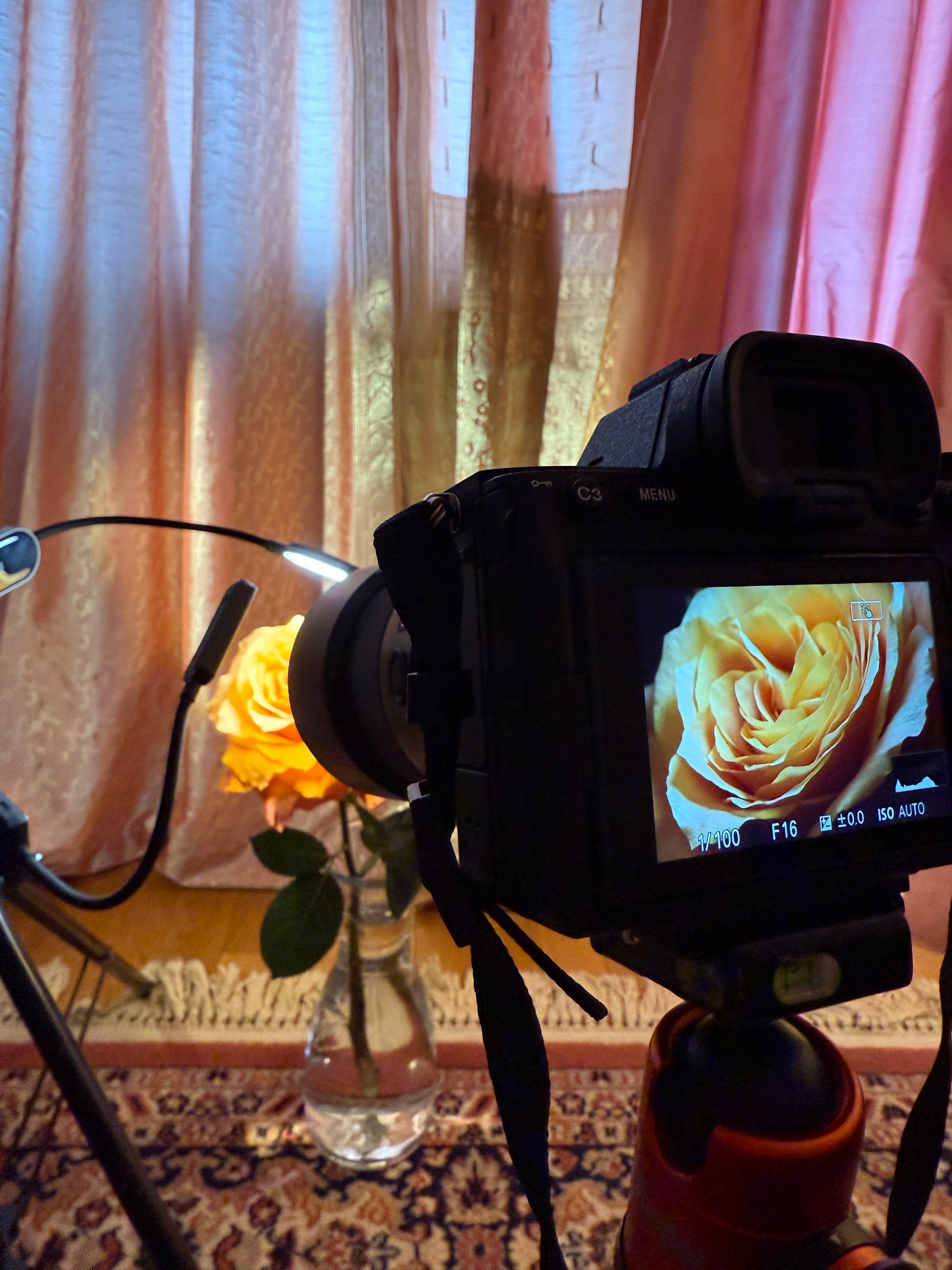 makingof-makroaufnahme-rose-pfirsich-gold-poster