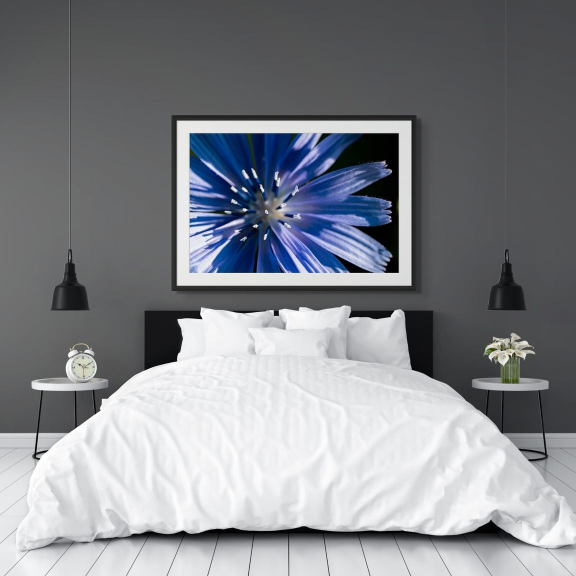 Edles Schlafzimmer Makroaufnahme einer blauen Wegwarte im frühen Sonnenlicht