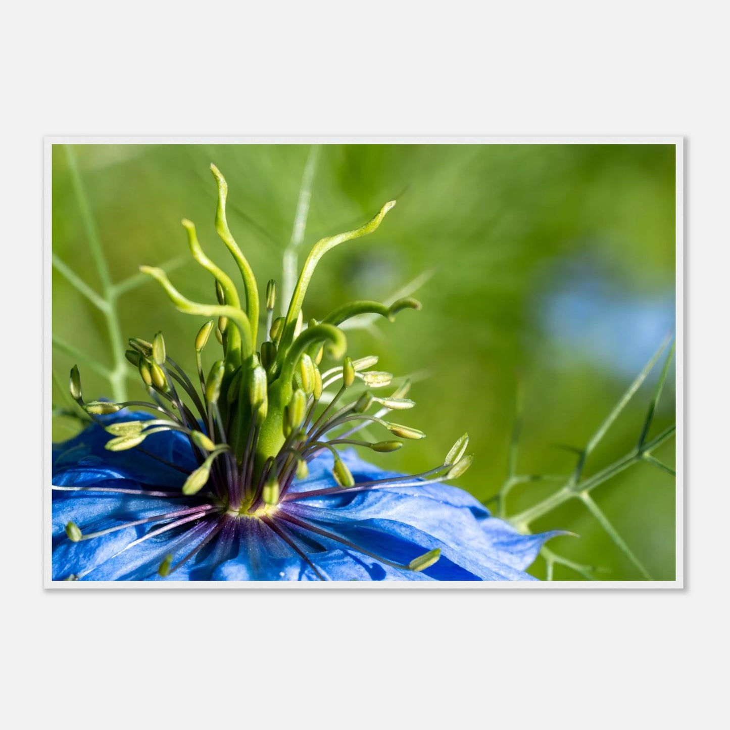 348e8106-f573-4bd2-84c5-fde3d3a8335d