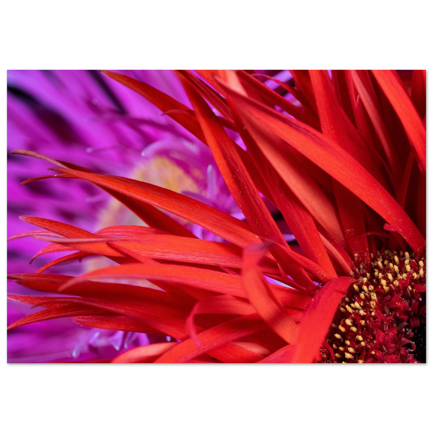 7045b44f-1520-4f3f-beff-15ca2f0f128f