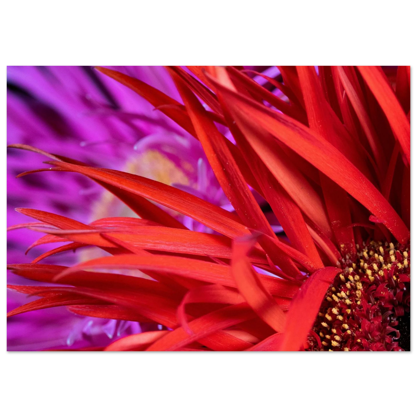 73b86f22-20ef-4c63-b946-13c3e9416b6b