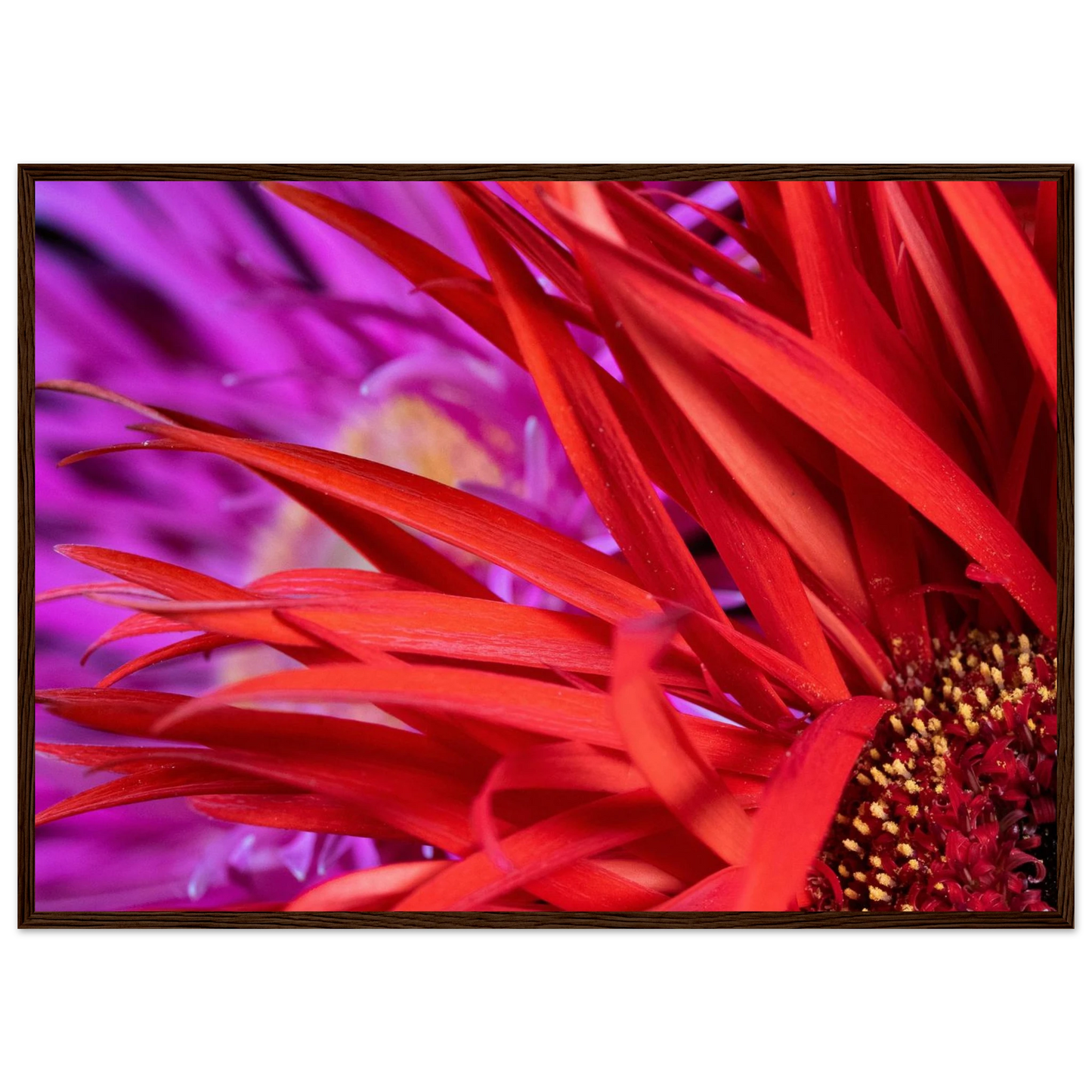 7dd9e545-ef29-4327-b959-c782087ed377