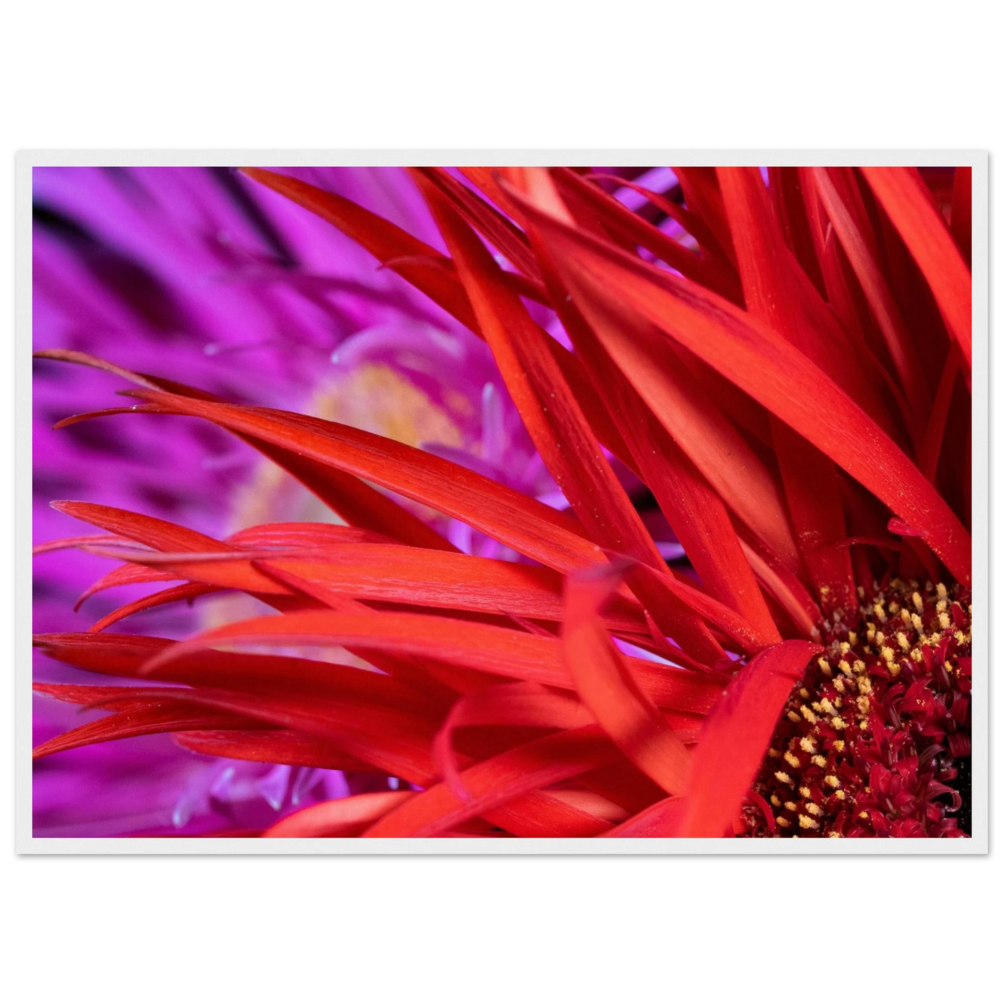 80a722f7-1faf-401a-8398-ffd50059a3a7