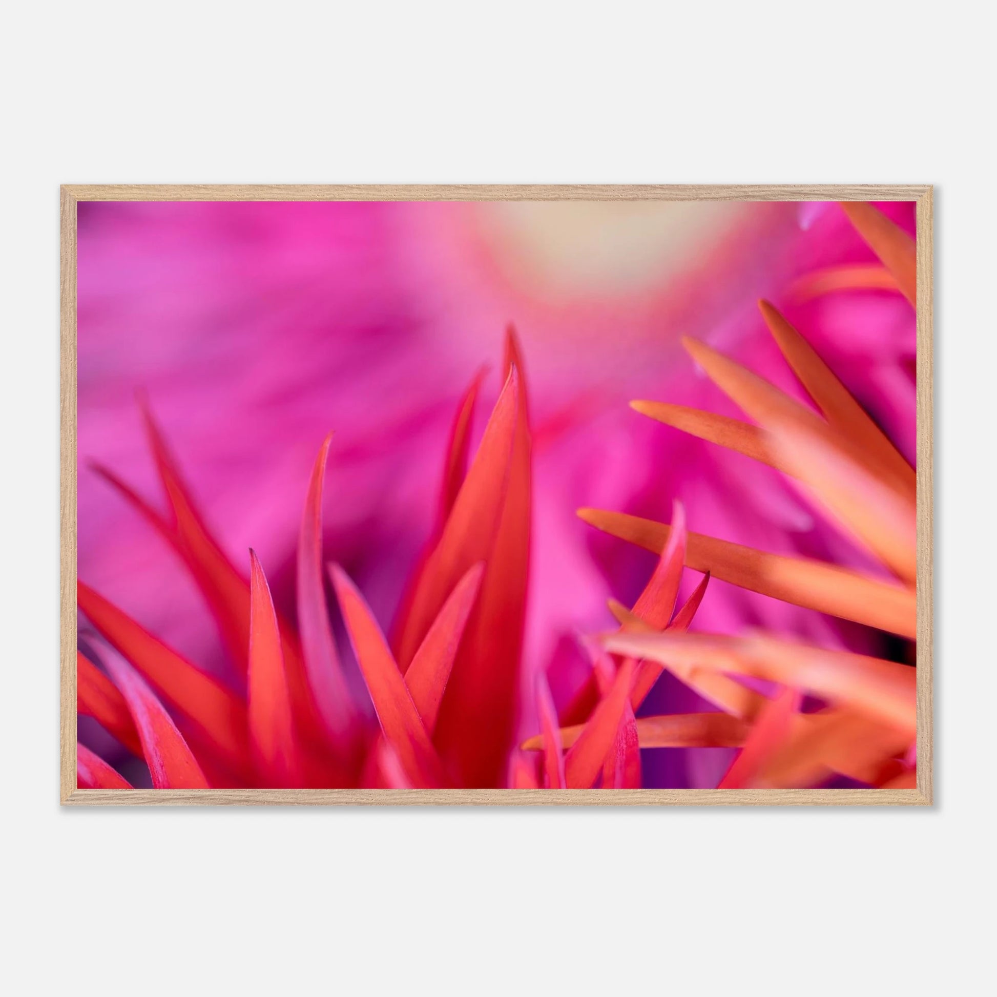 861877df-5dd1-4dd6-a61e-e7881c820382