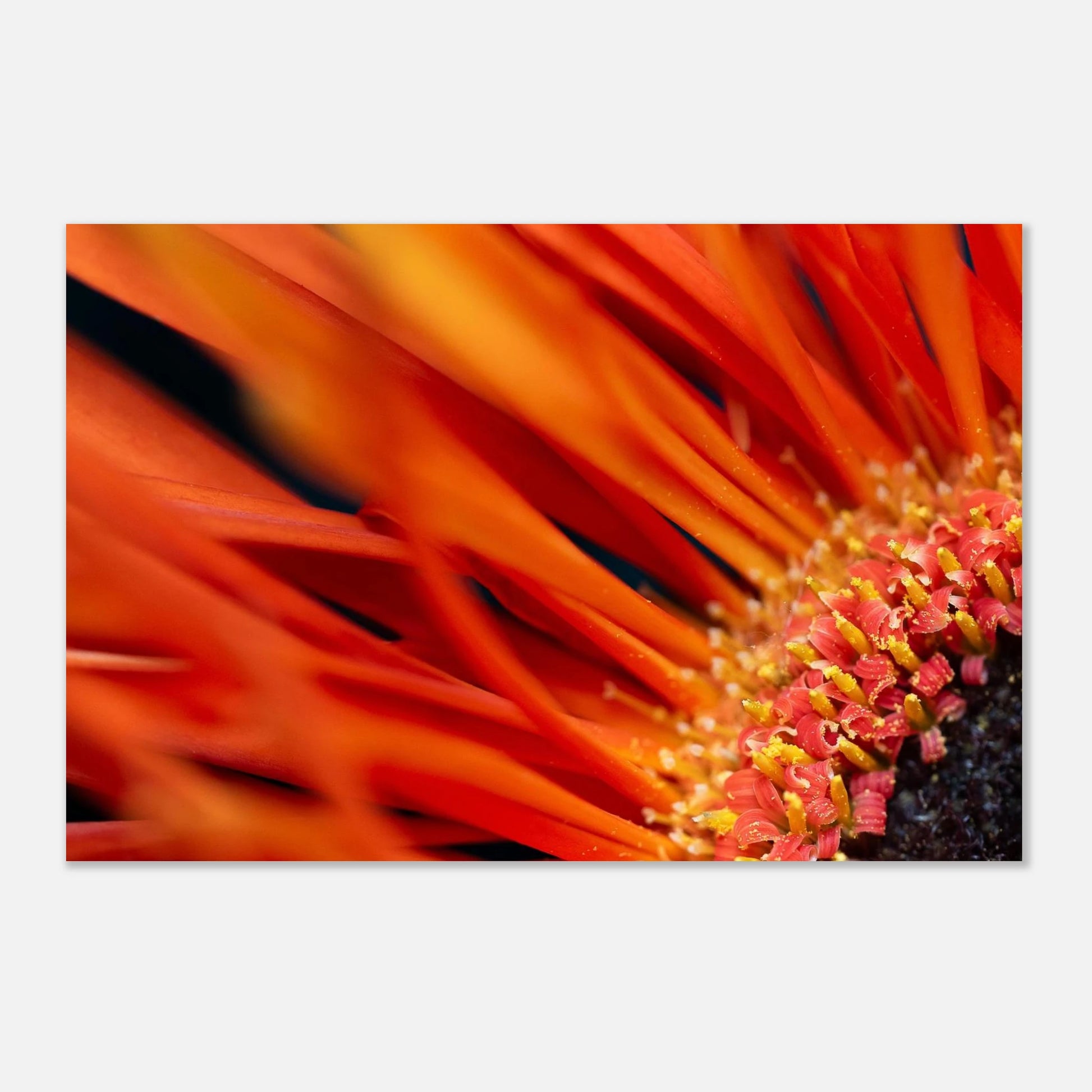 97f94df9-532b-4c04-8fa3-ef23e69370e5