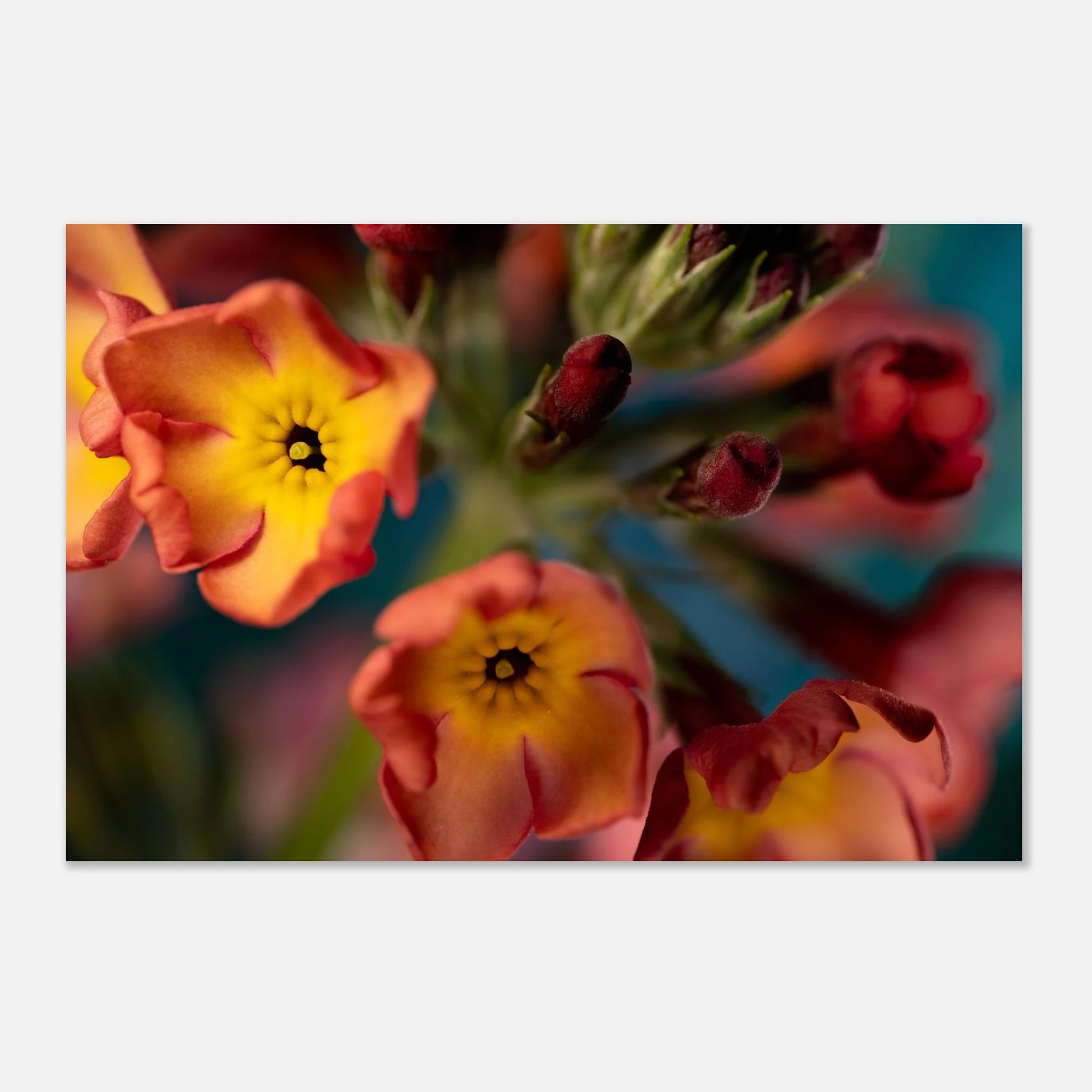 ae2ae63e-73e4-495f-aafc-cc6137713d77