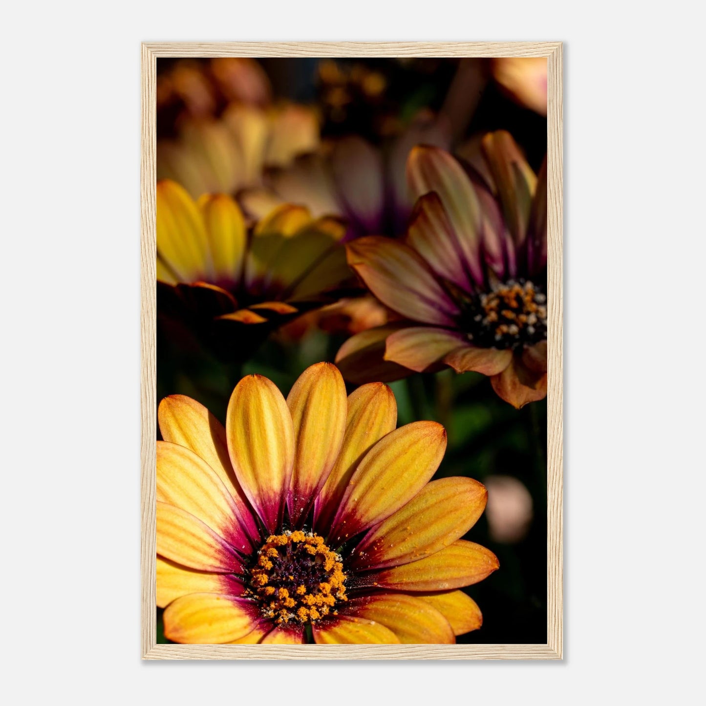 Florales Wandbild in warmen Farbtönen mit starker Lichtwirkung