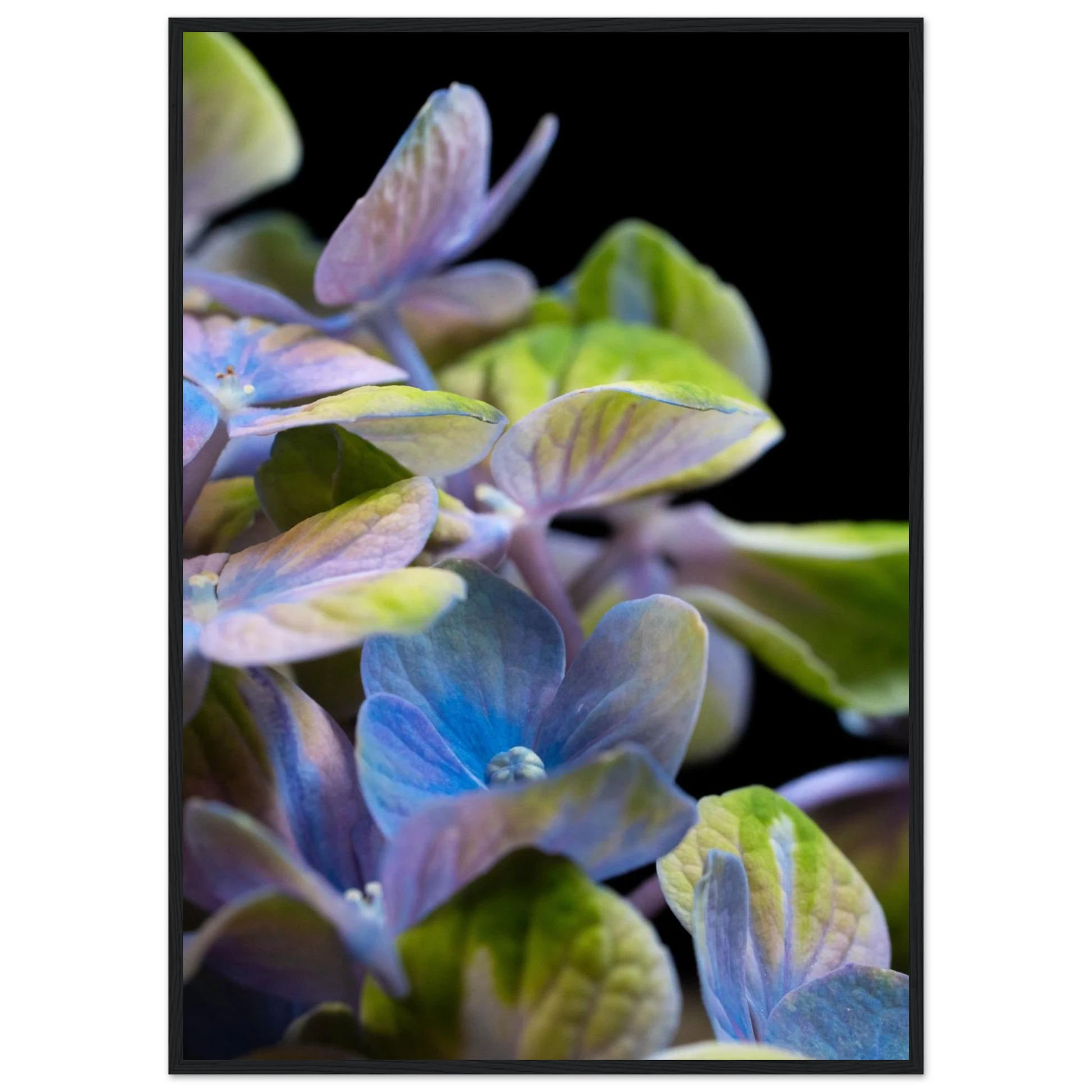 b710eb4f-df63-4010-9e56-5c2de0ebea48