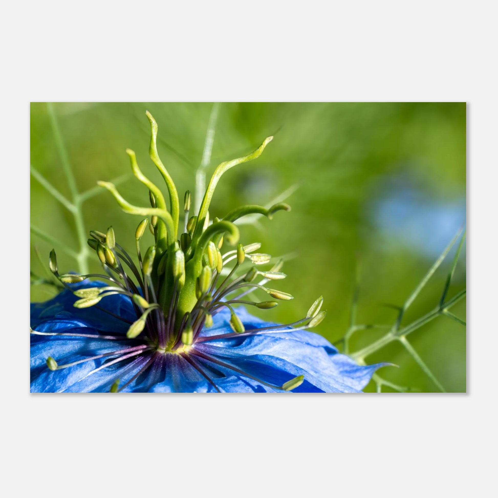 c7b07674-838e-4c49-9d4b-8deb68236cf0