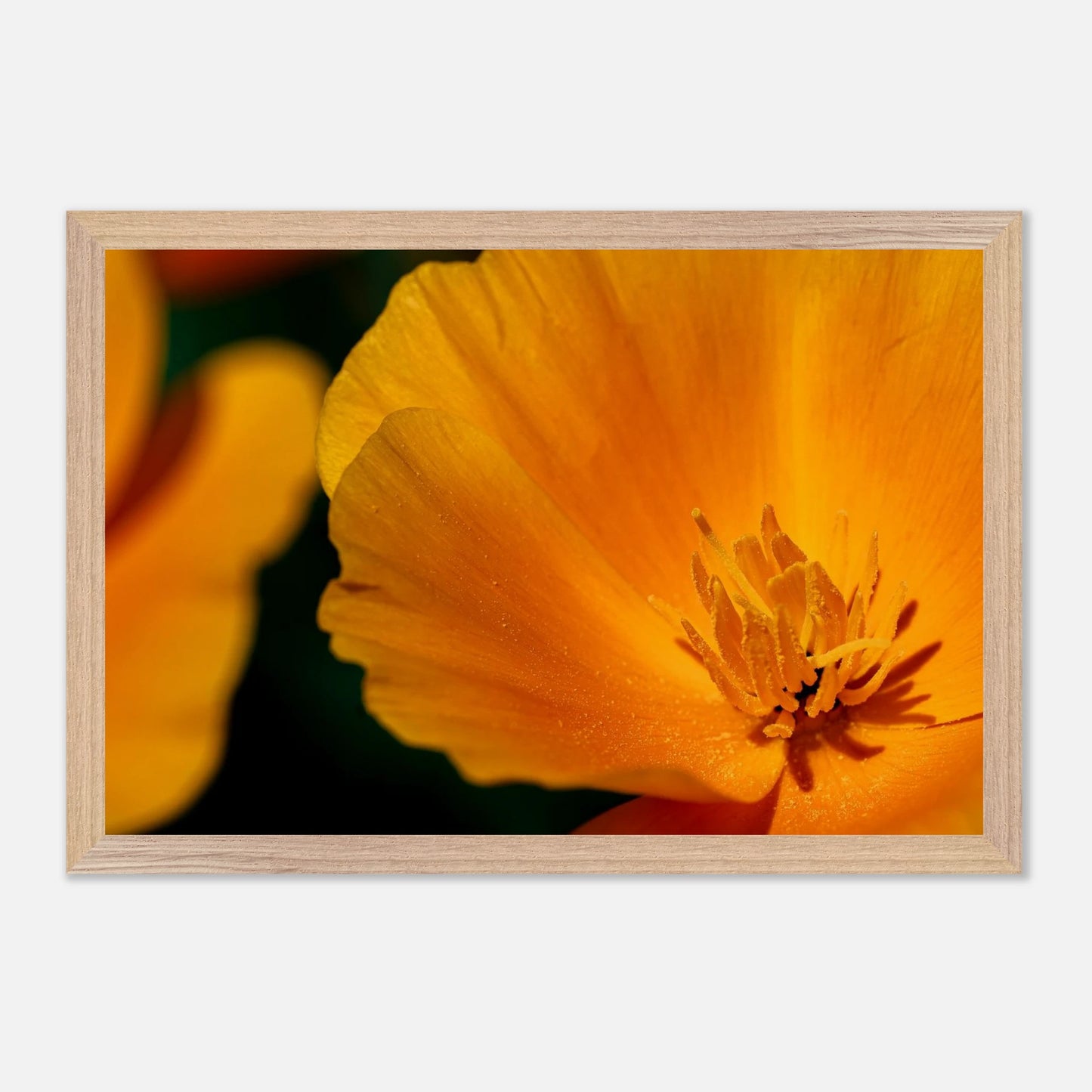 c875940e-f126-408d-be8a-1acad01ba222