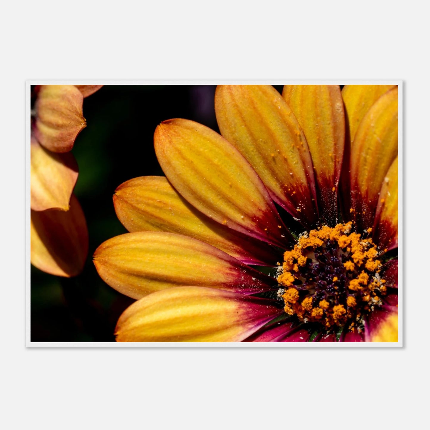 d6491da3-a512-469d-bb3a-e3054a5b84a6
