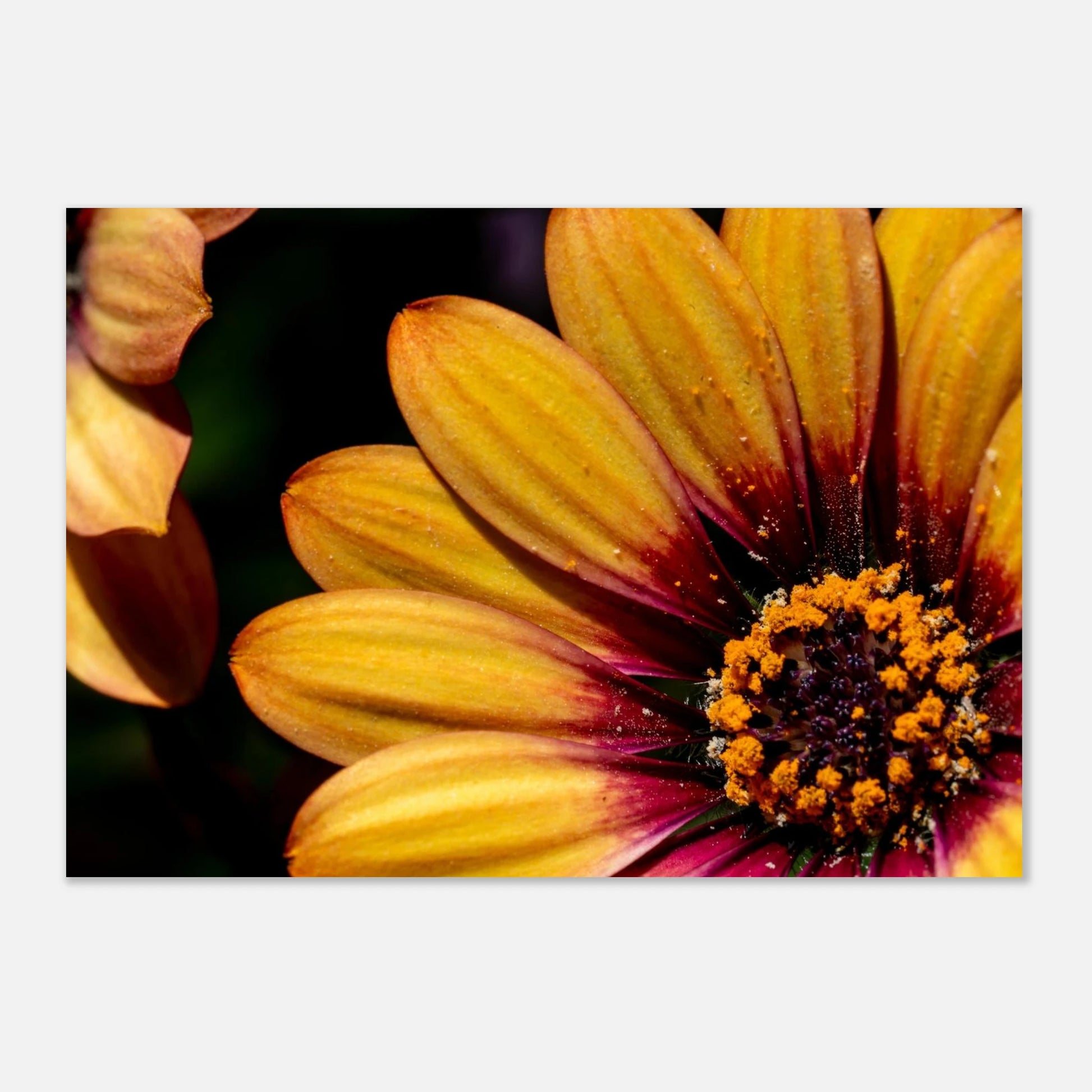 d97a456c-2bb3-4127-8e6b-7615fbce1ea3