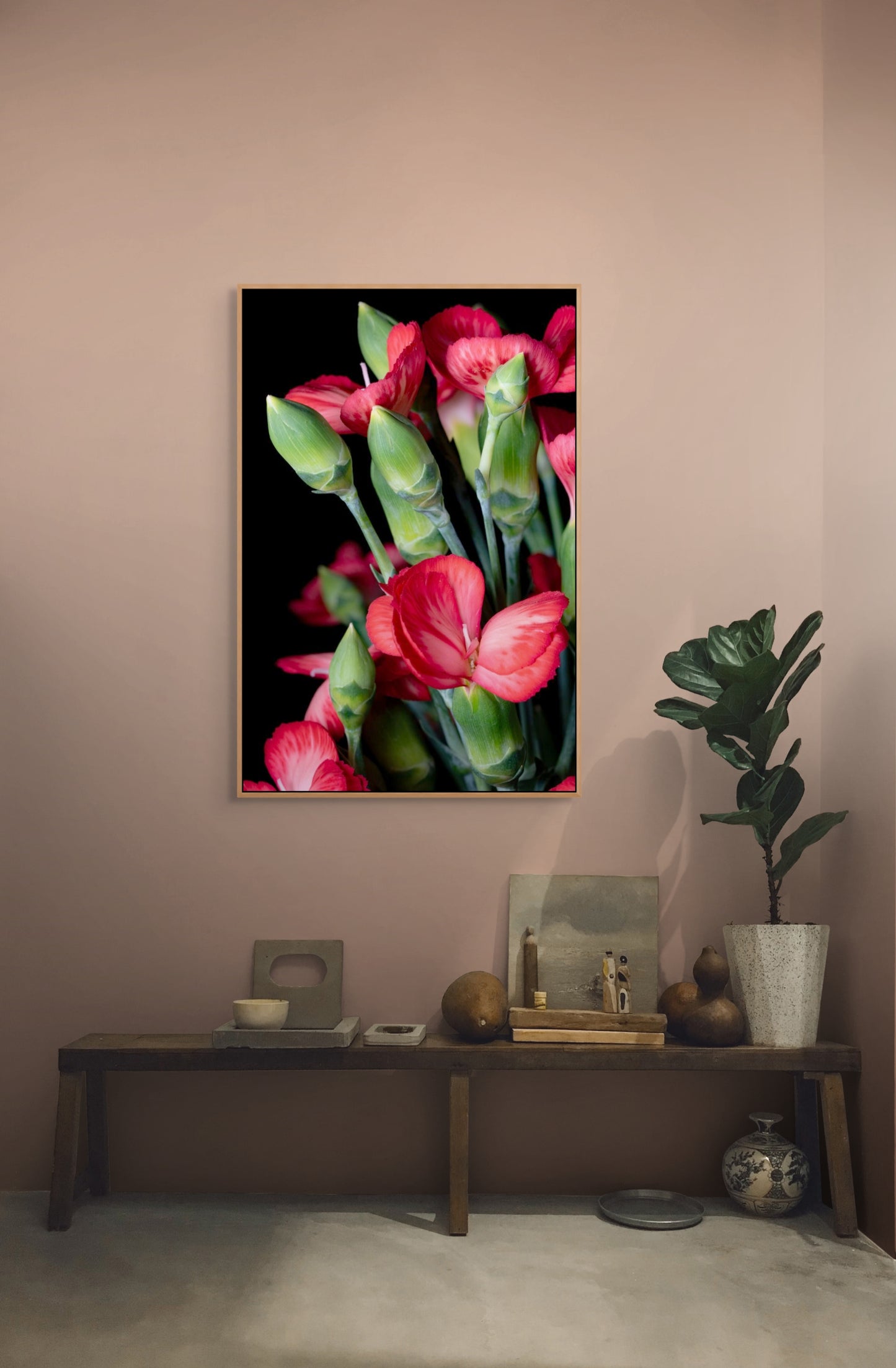 Vielschichtige Schönheit – Dianthus caryophyllus