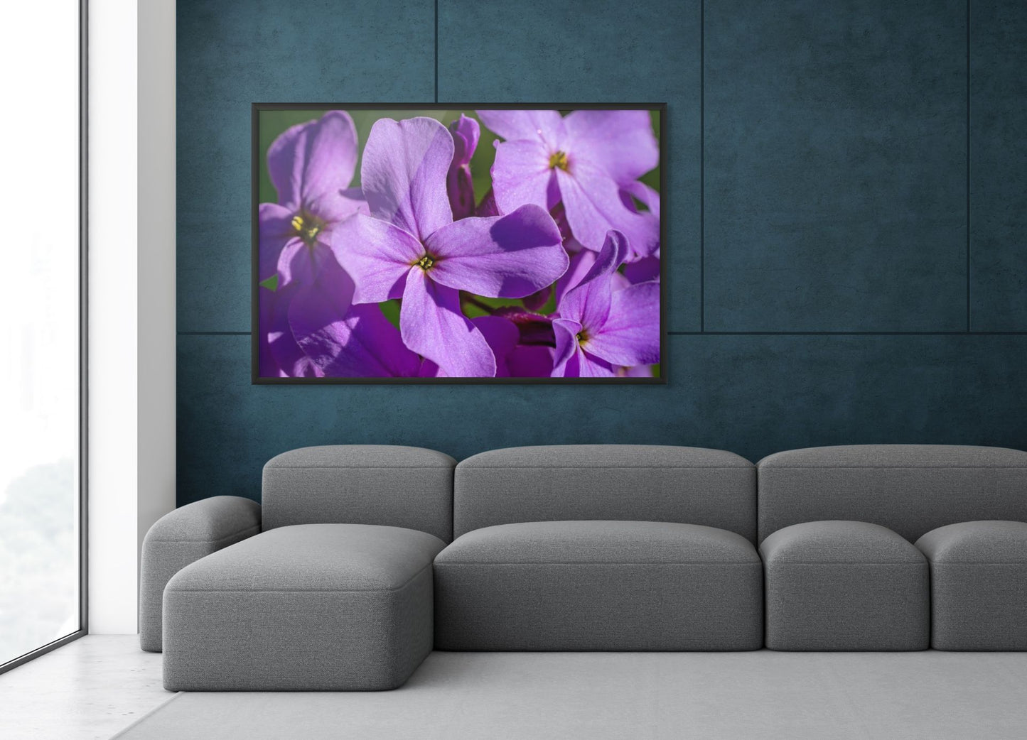 Abendliche Anmut – Hesperis matronalis