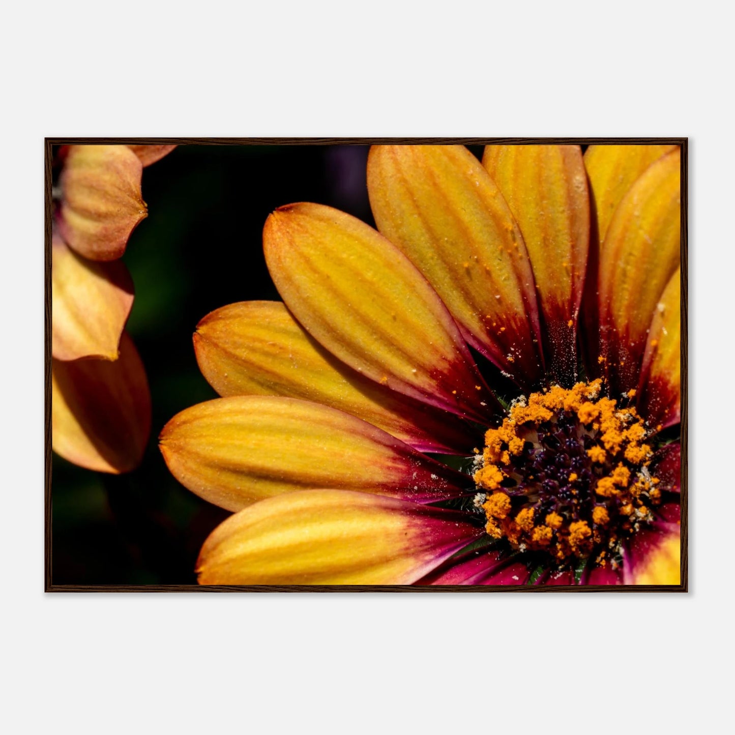 f4d0dae8-9eee-496d-a980-cd697fcda1b3