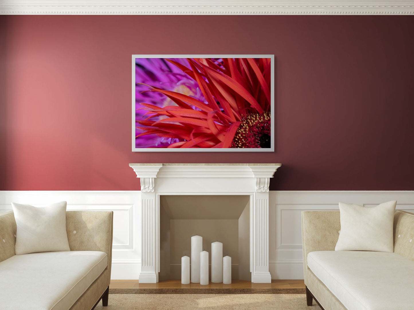 Lebenslust – Gerbera jamesonii